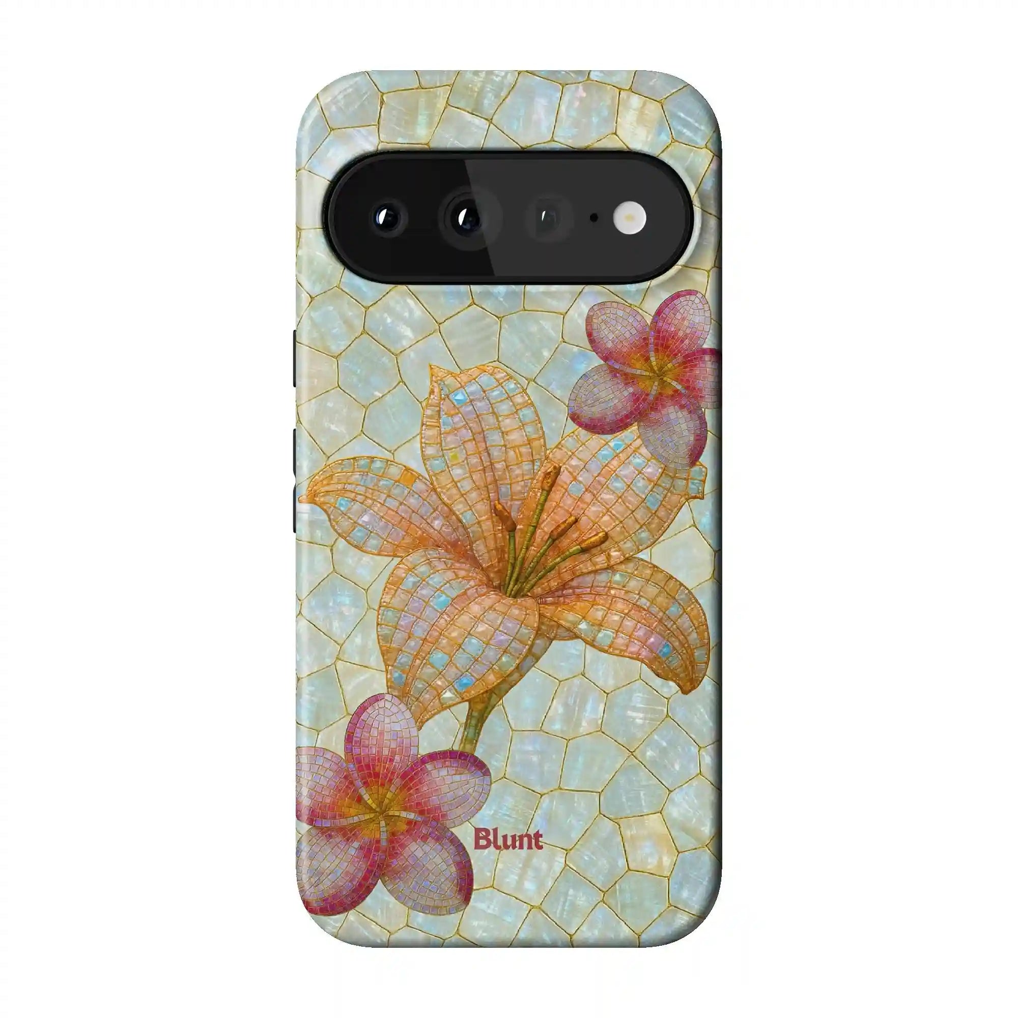 bluntcasesus.it.com