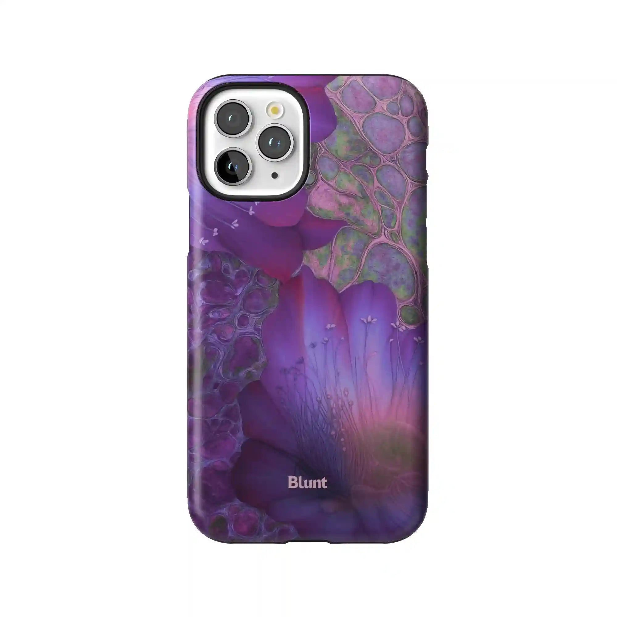 bluntcasesus.it.com