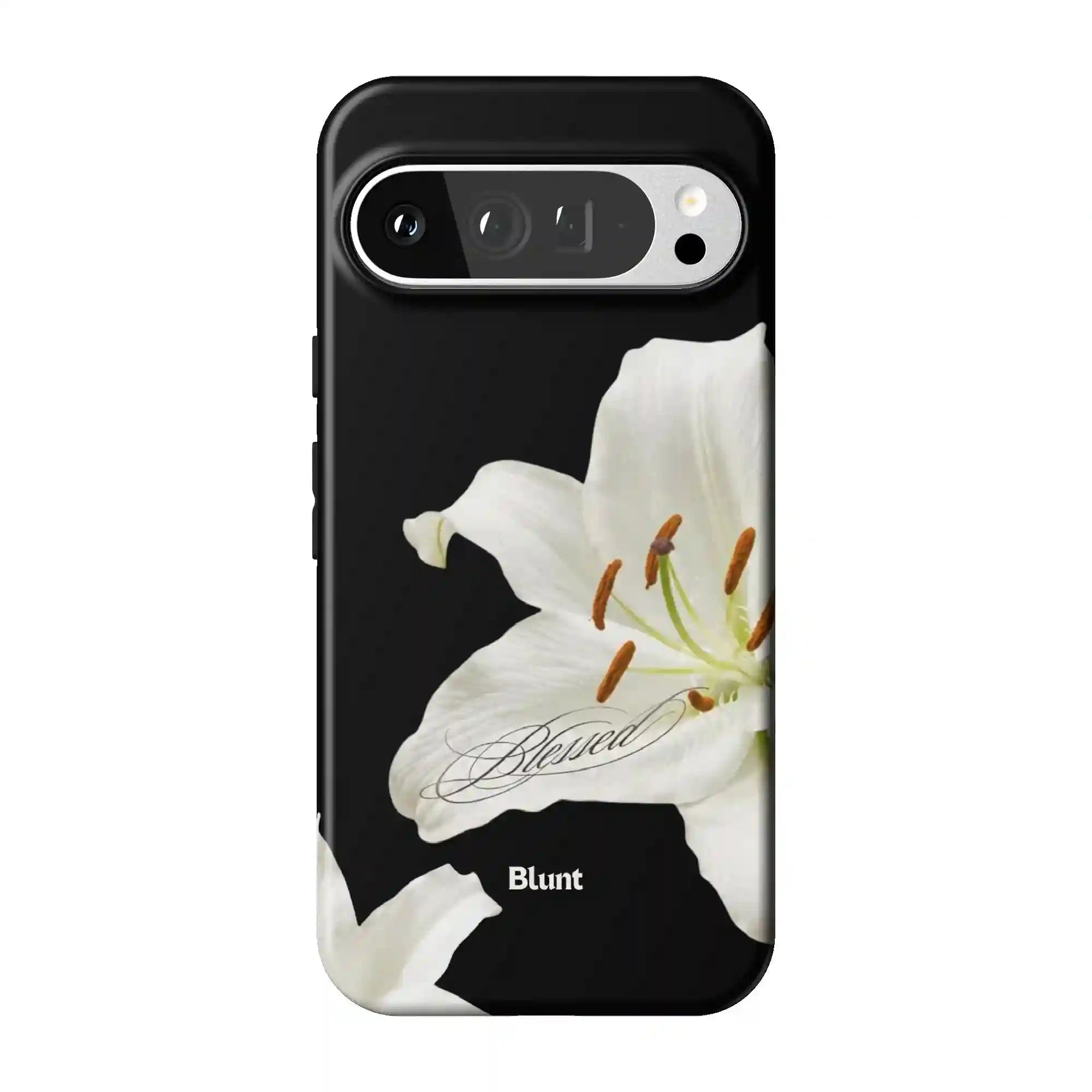 bluntcasesus.it.com