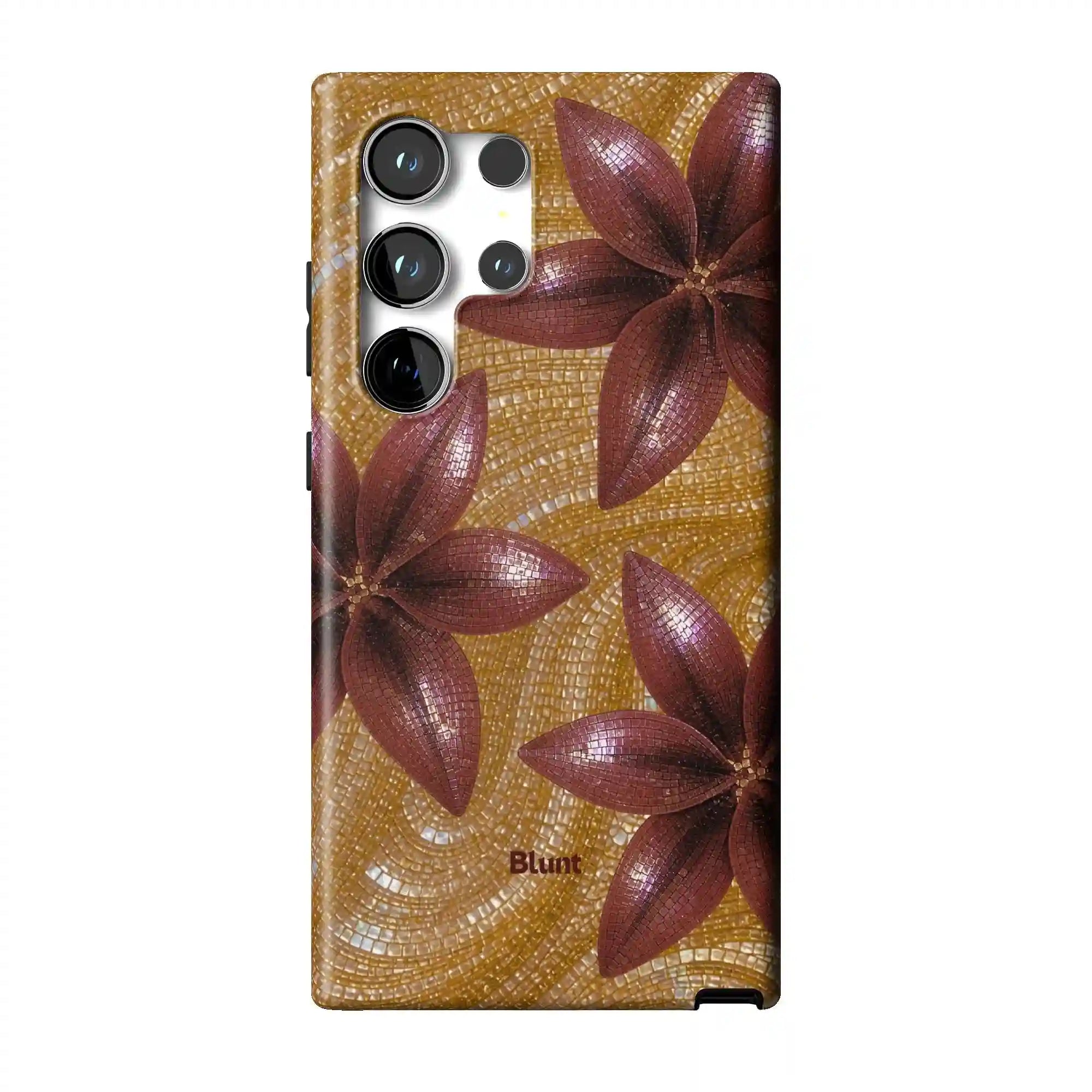 bluntcasesus.it.com