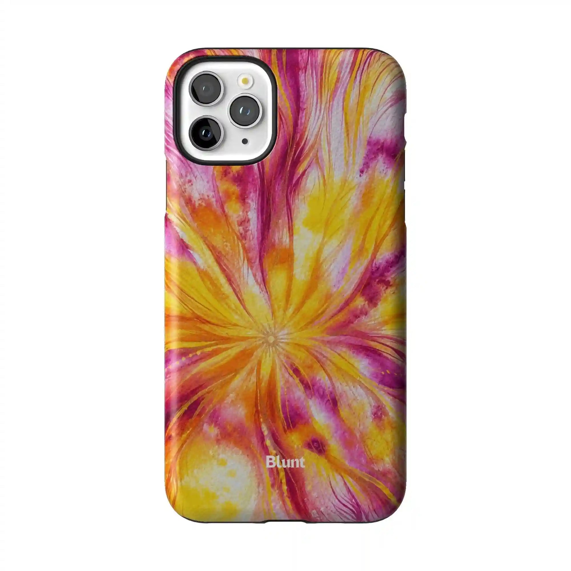 bluntcasesus.it.com