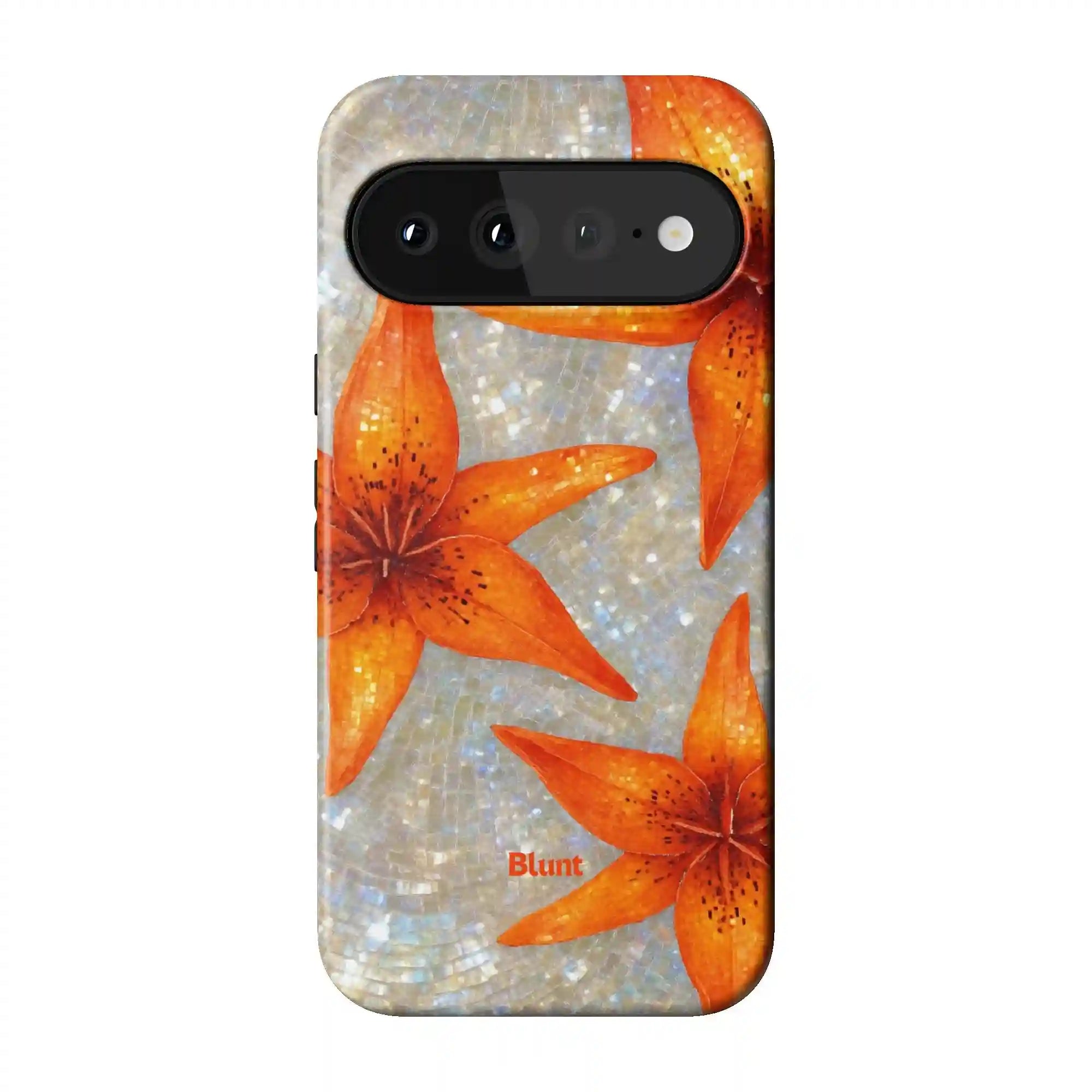 bluntcasesus.it.com