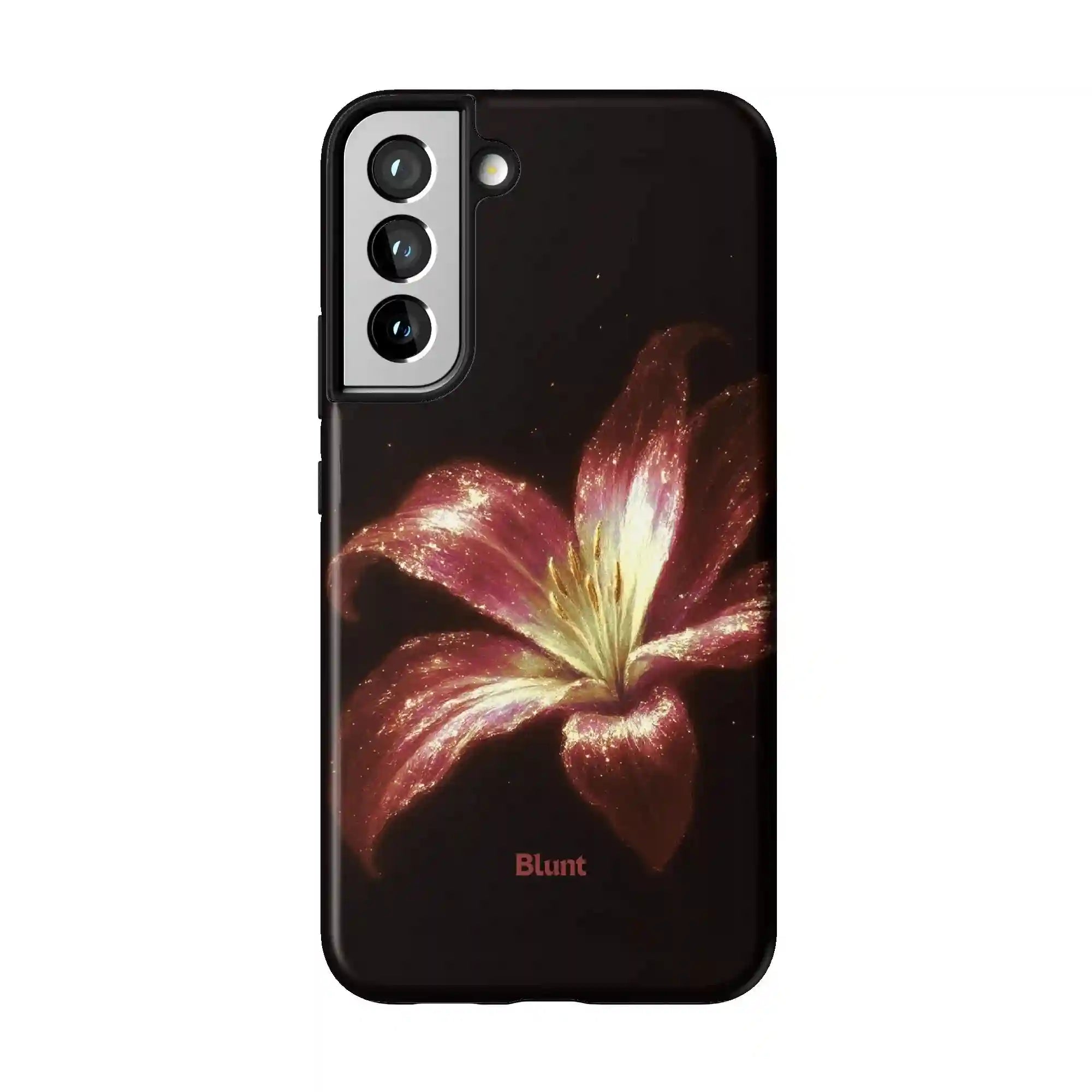 bluntcasesus.it.com