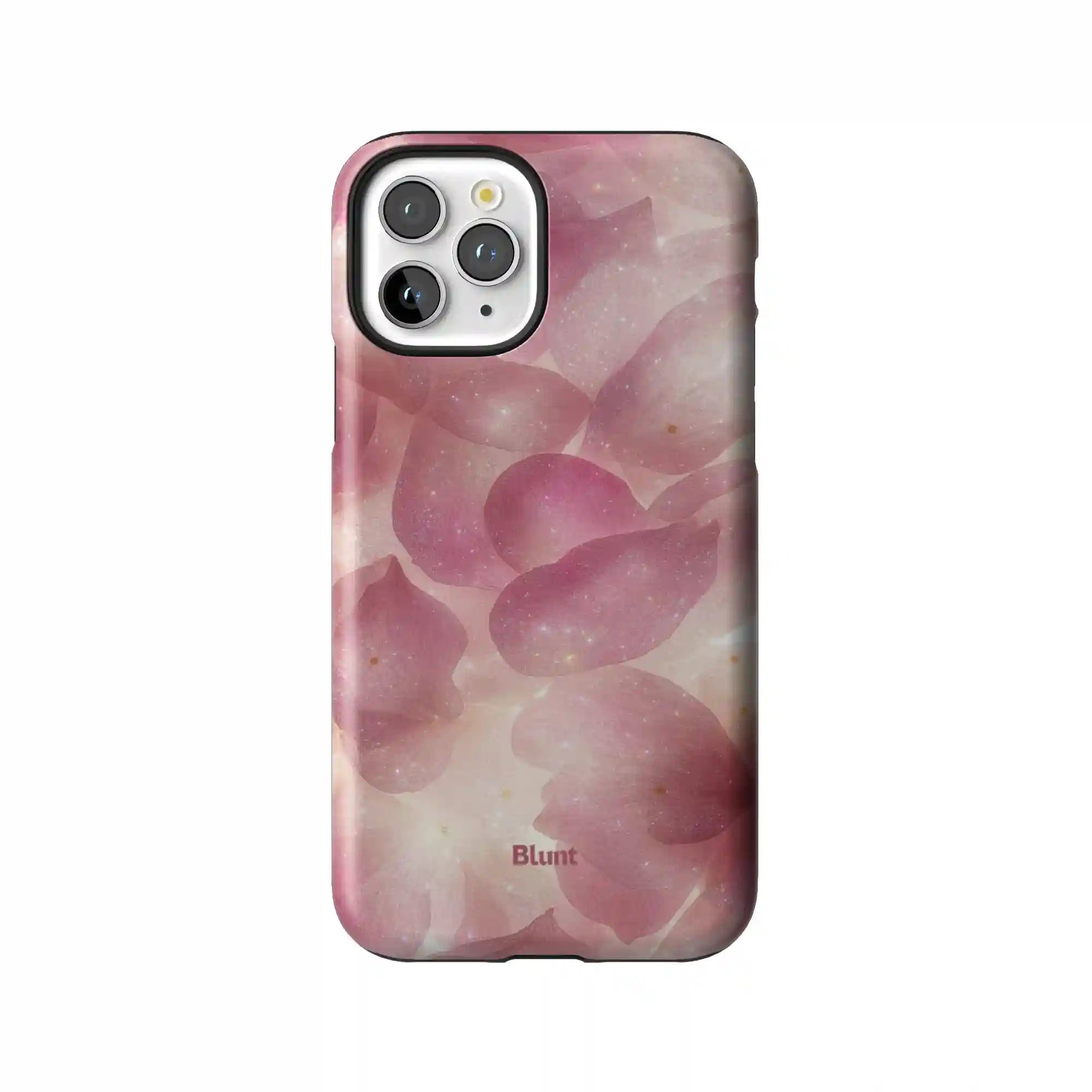 bluntcasesus.it.com