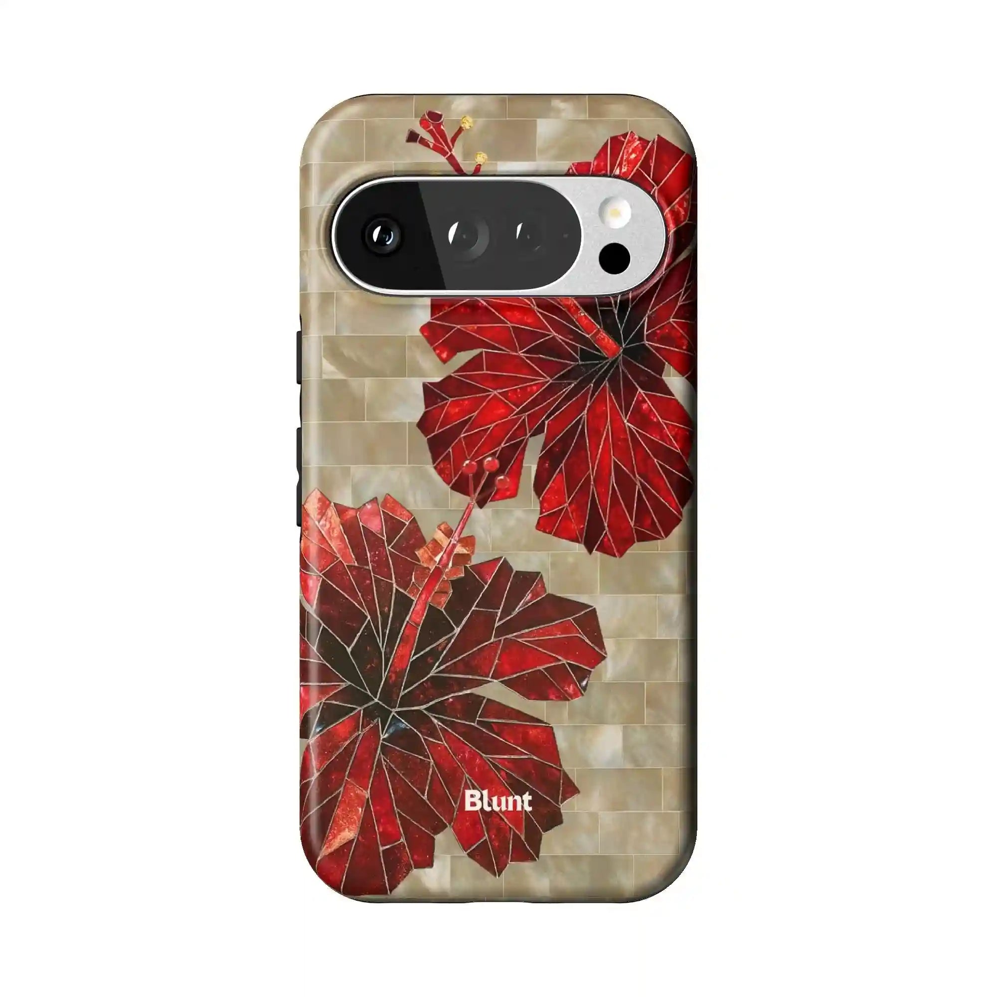 bluntcasesus.it.com