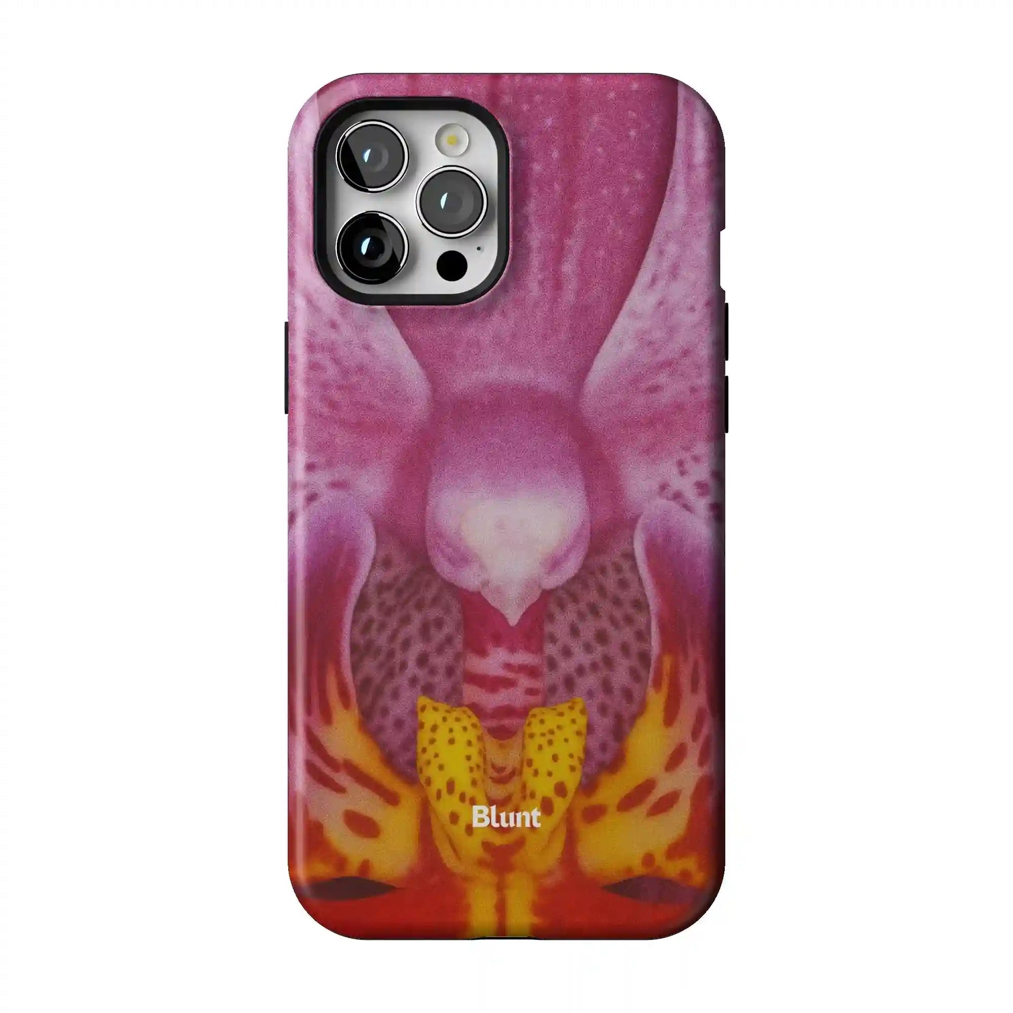 bluntcasesus.it.com