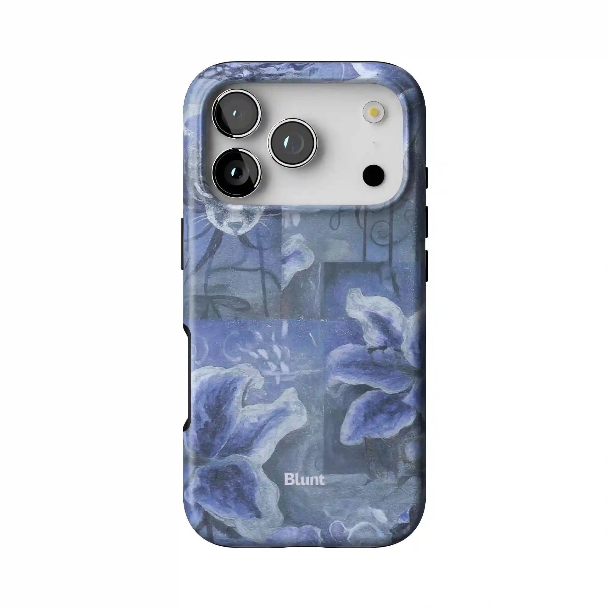 bluntcasesus.it.com