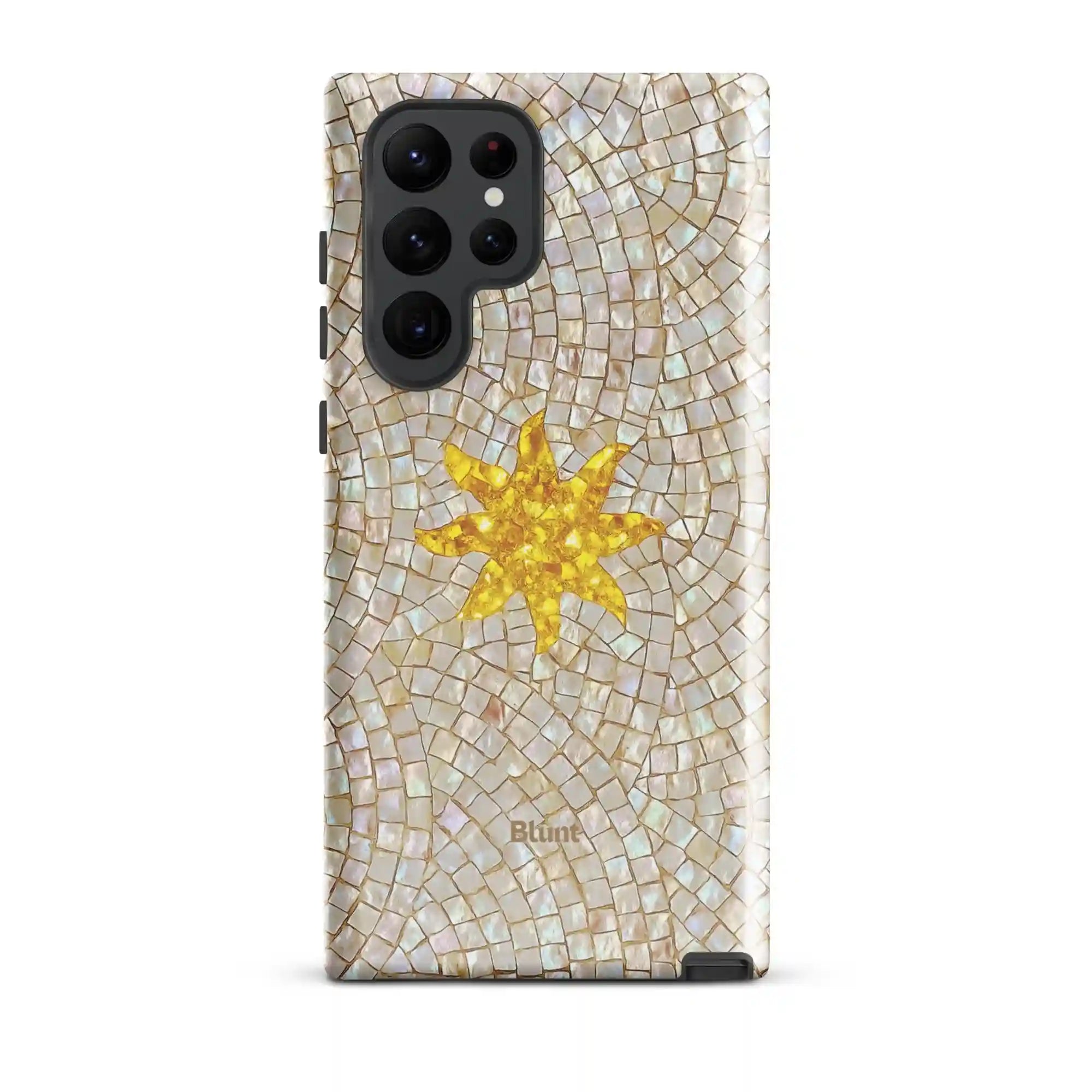 bluntcasesus.it.com