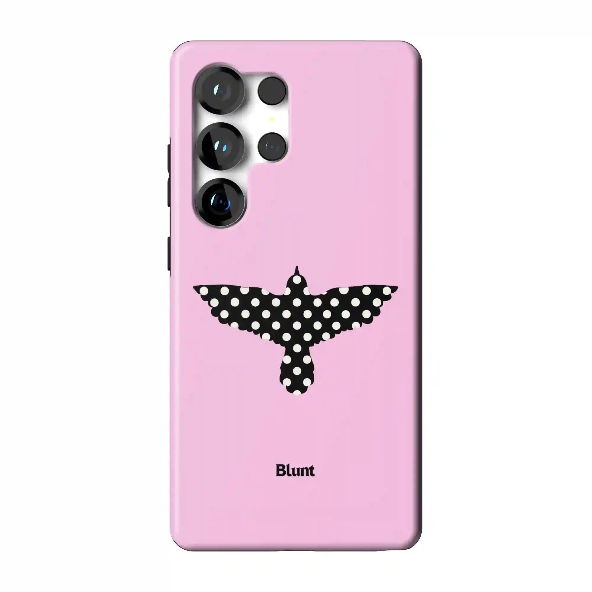 bluntcasesus.it.com