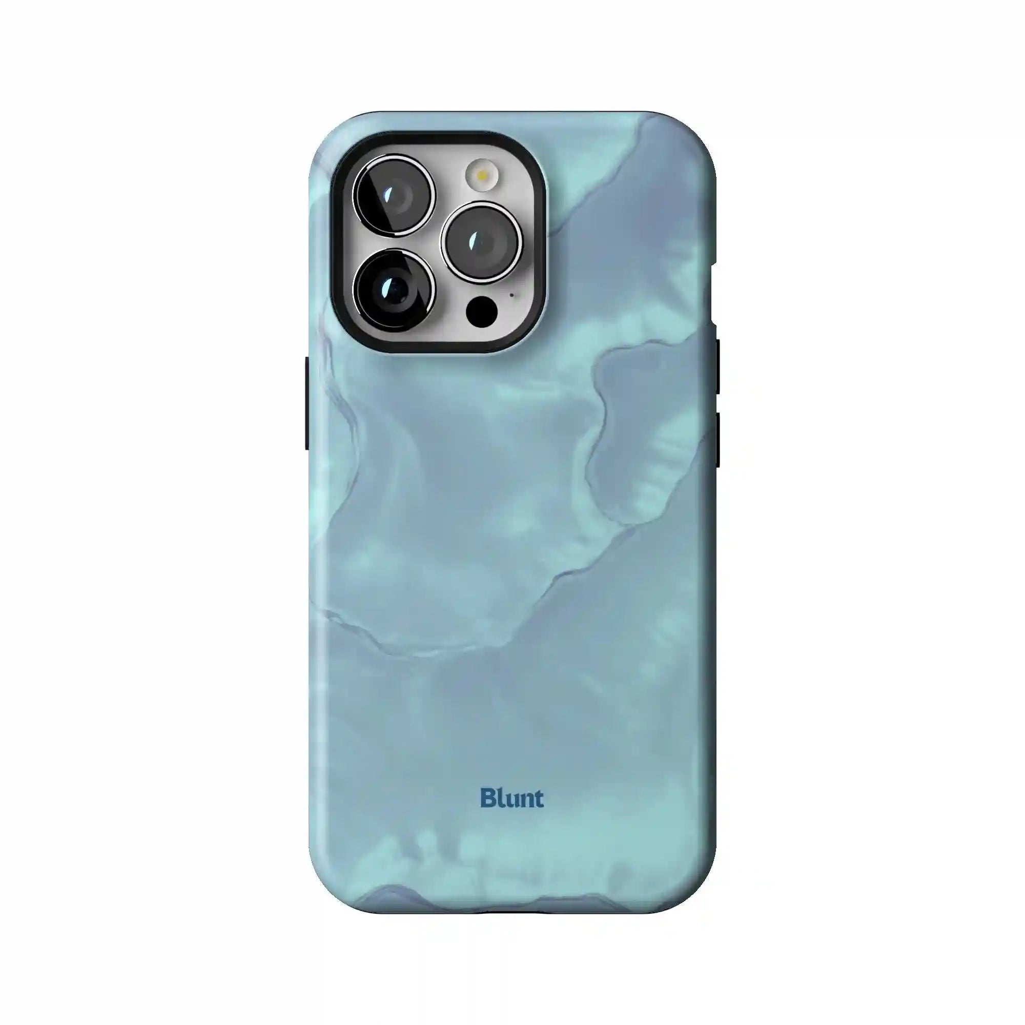 bluntcasesus.it.com