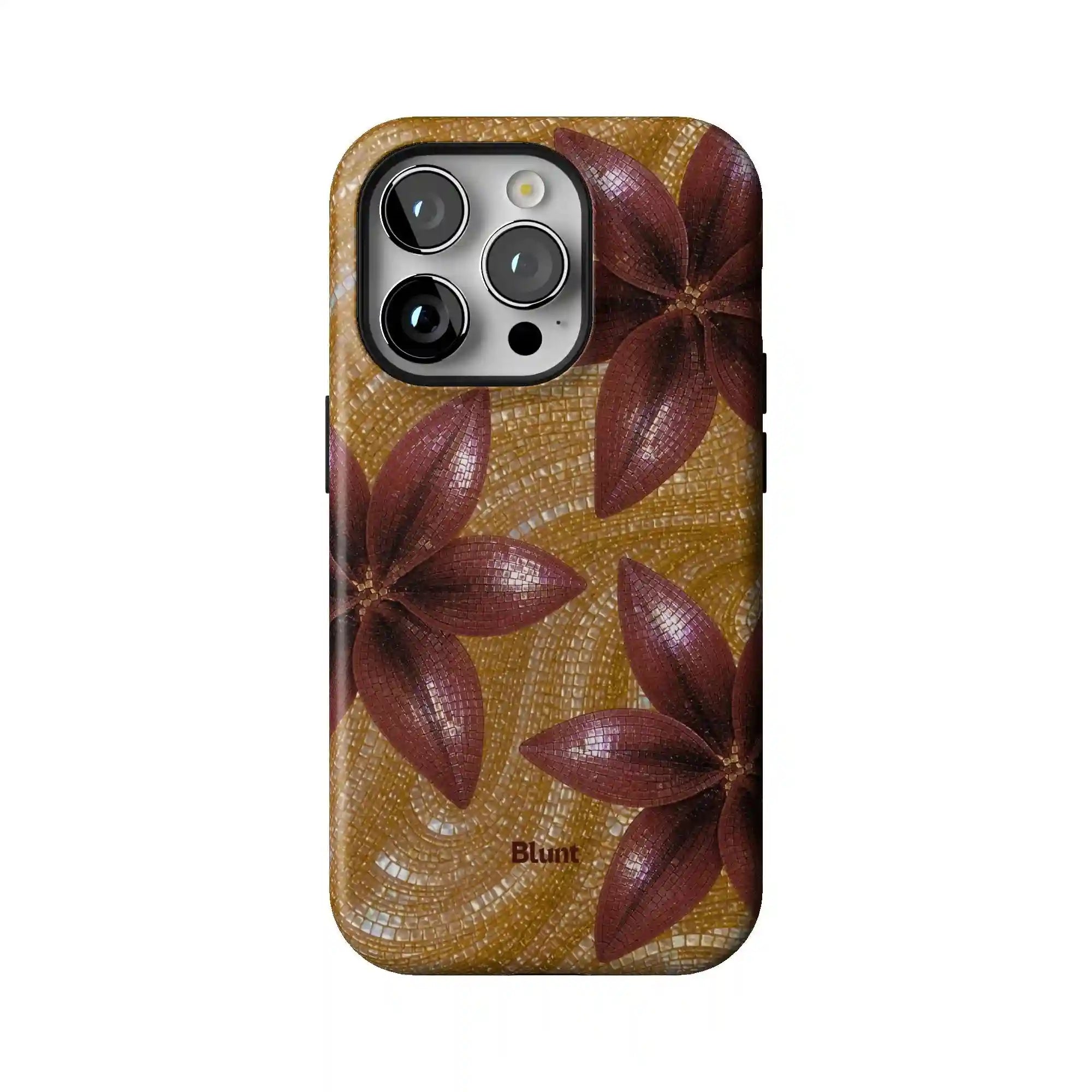 bluntcasesus.it.com