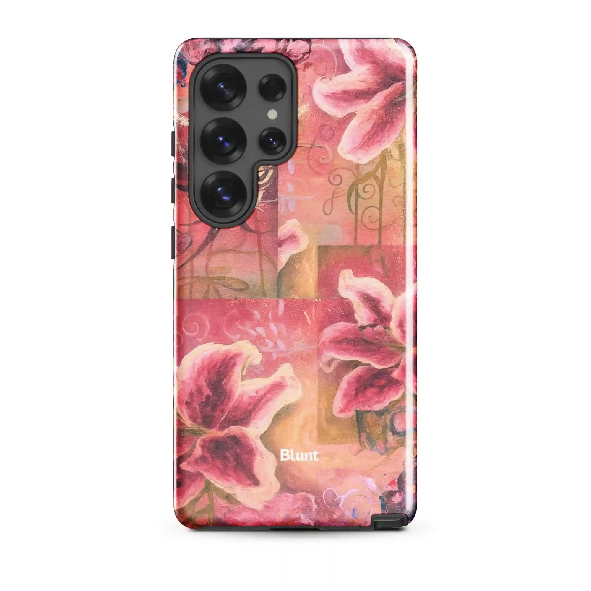 bluntcasesus.it.com