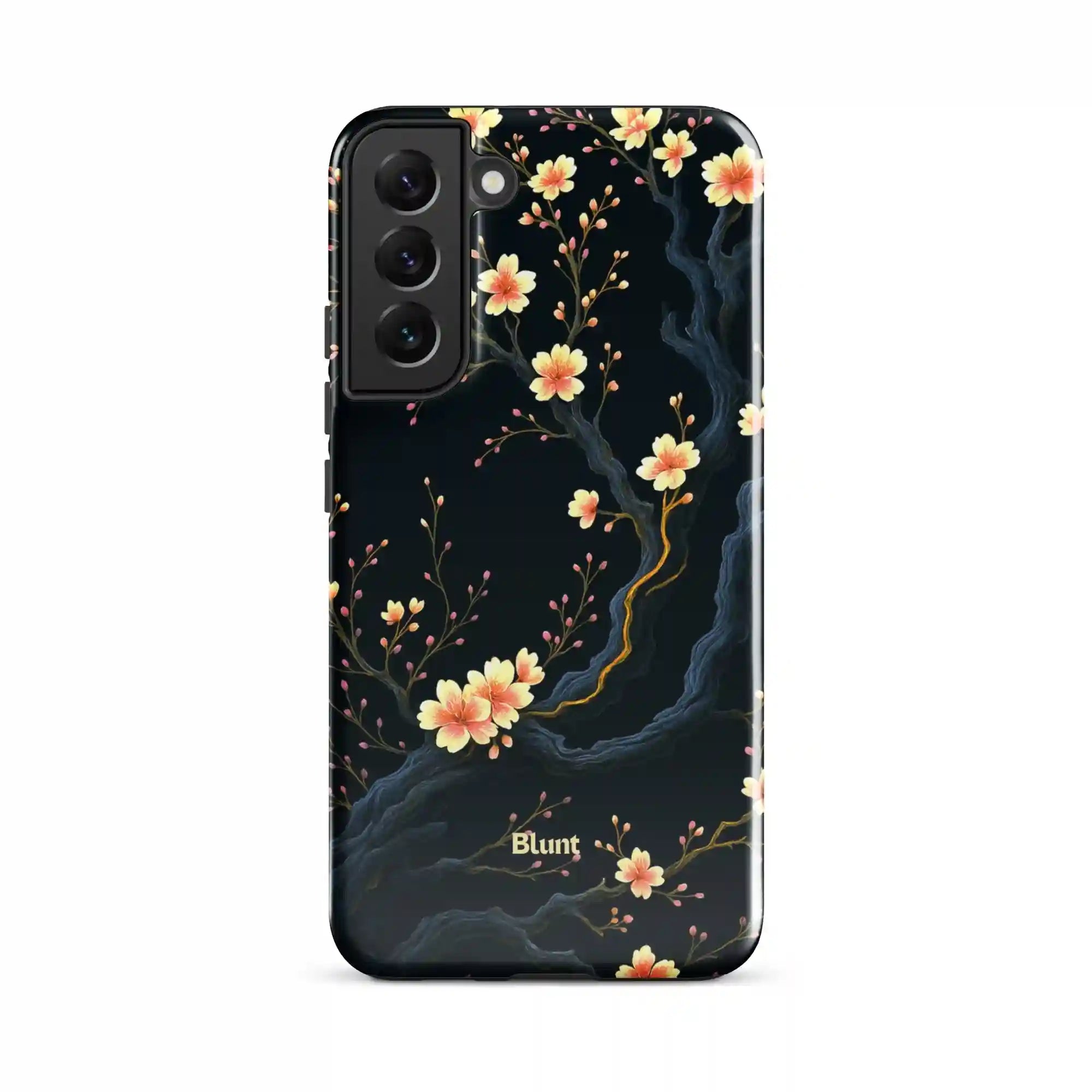 bluntcasesus.it.com