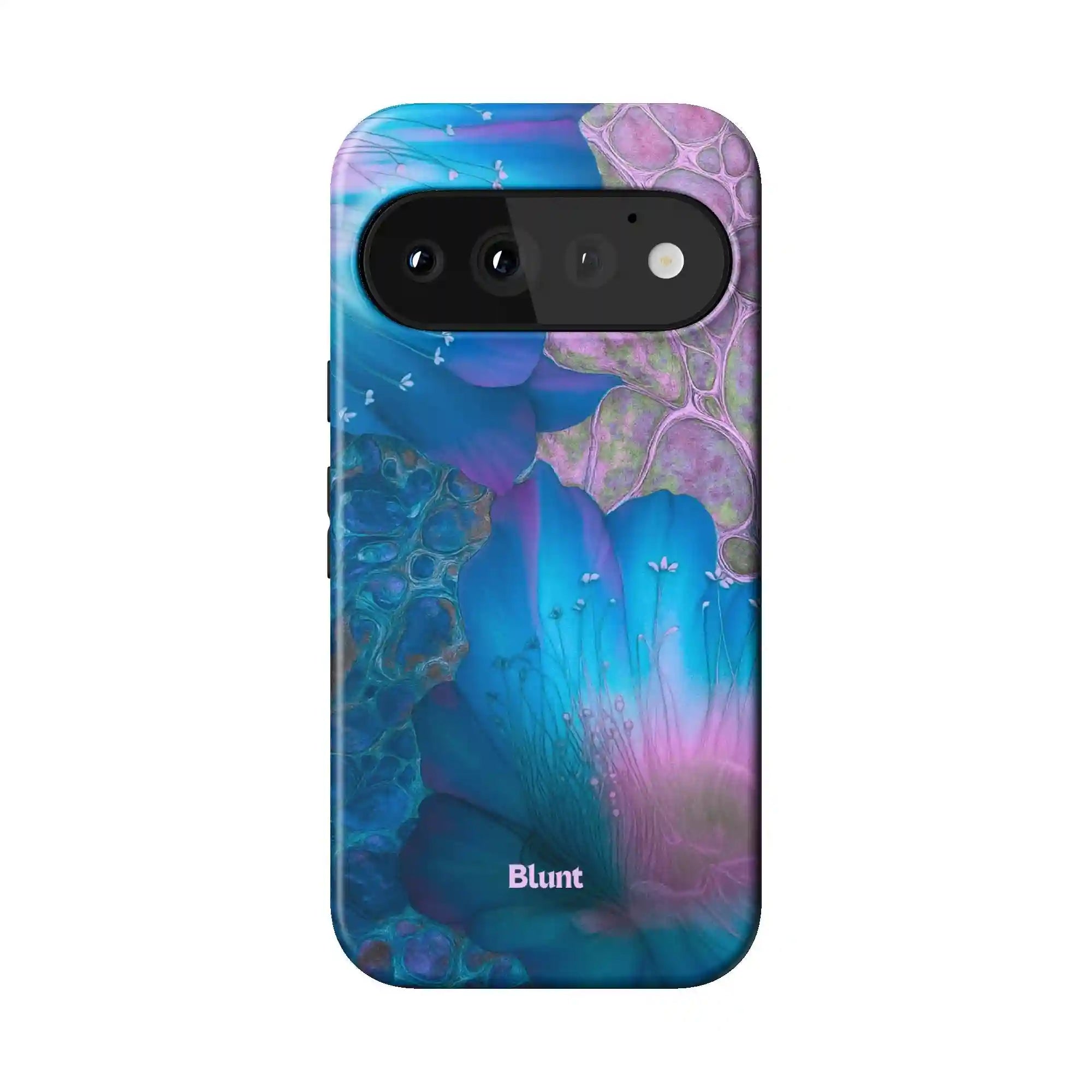 bluntcasesus.it.com