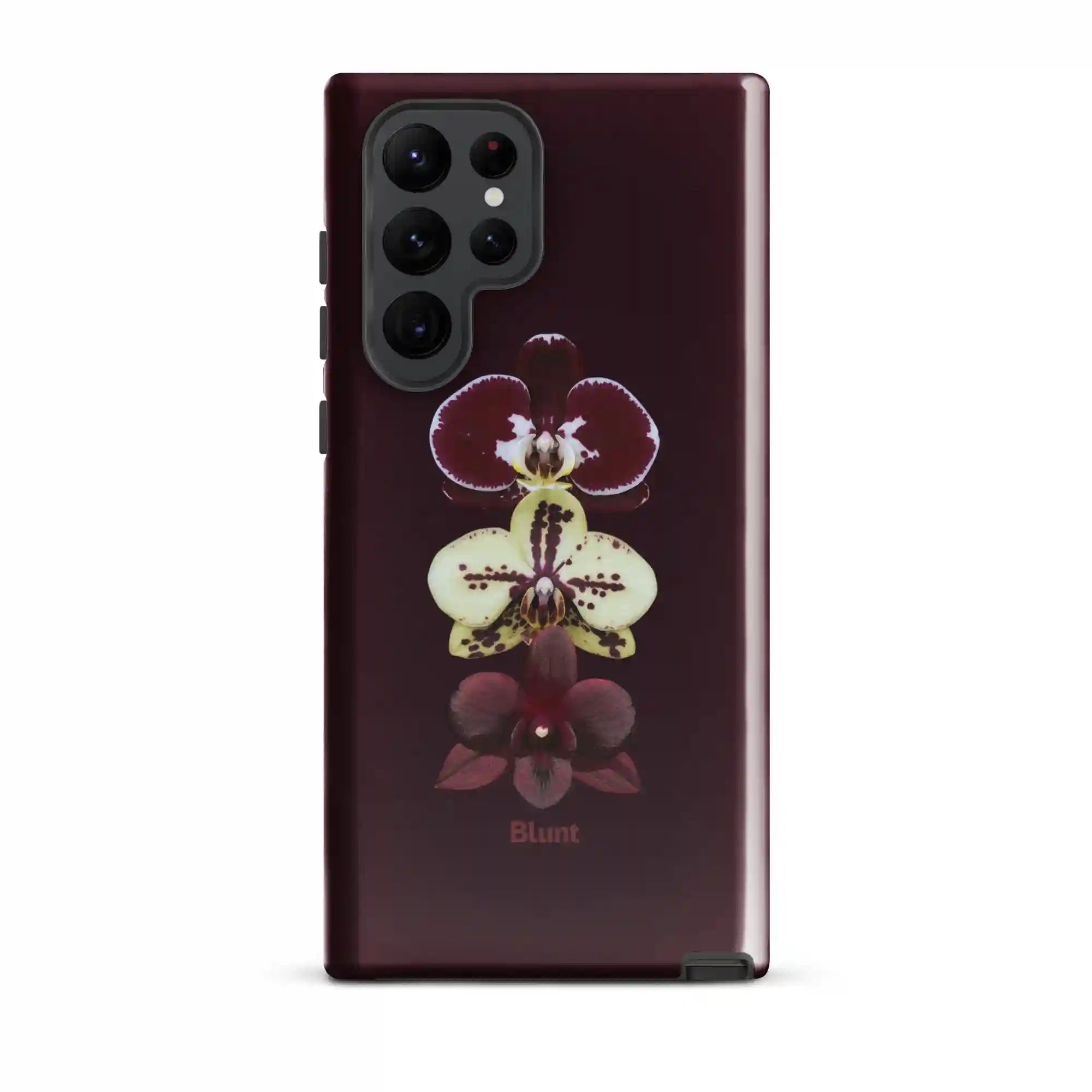 bluntcasesus.it.com