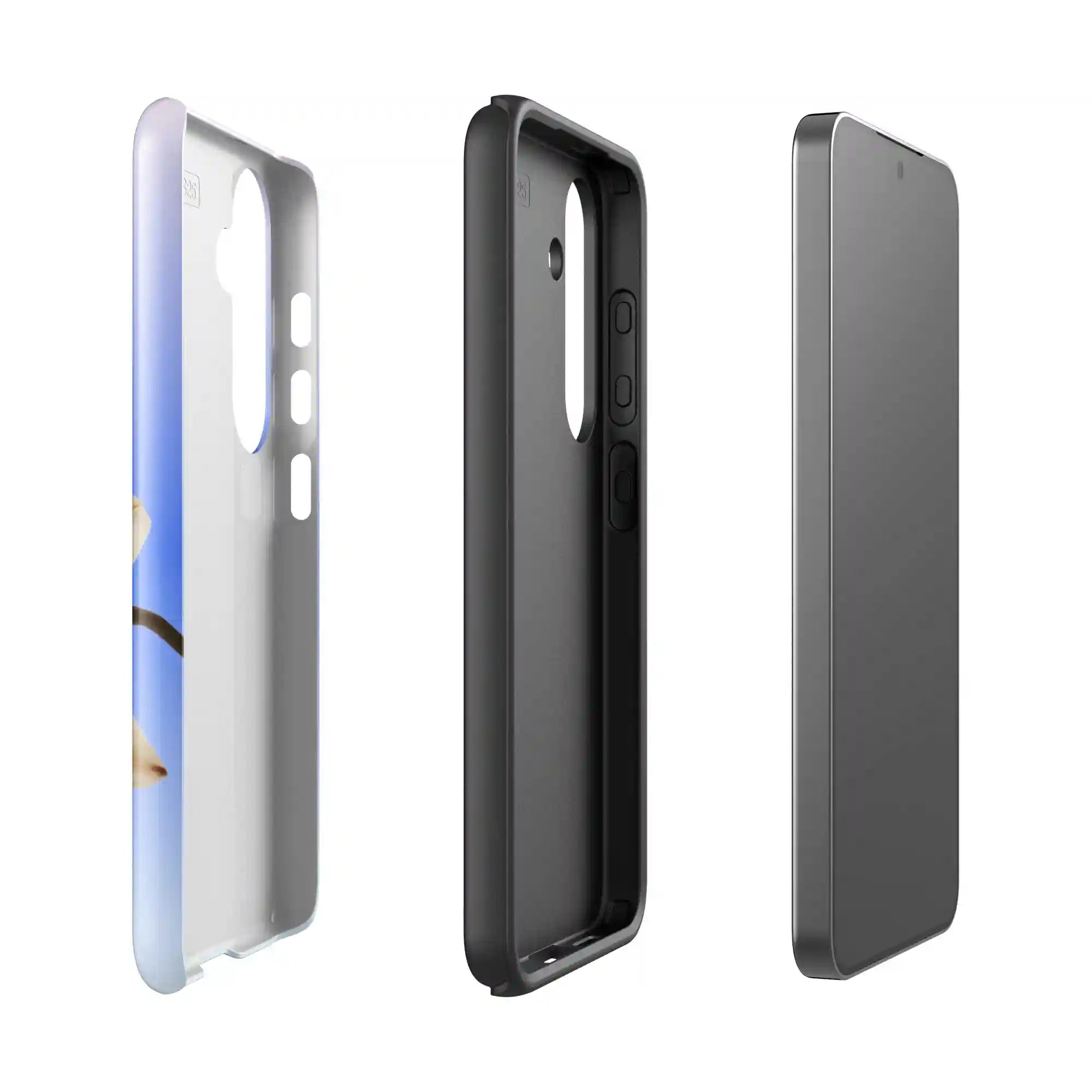 bluntcasesus.it.com