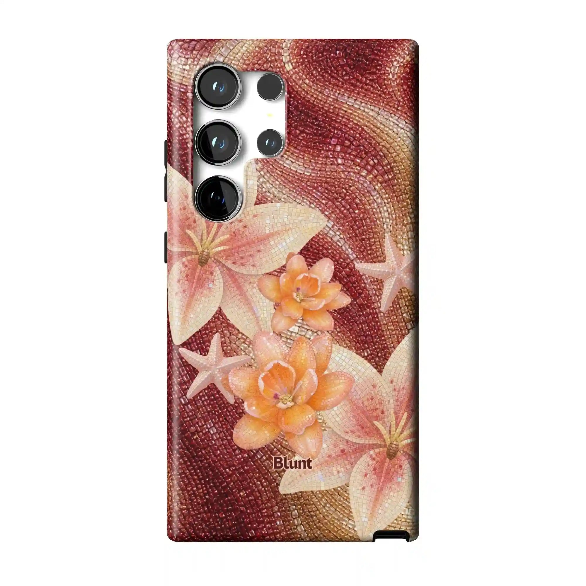 bluntcasesus.it.com