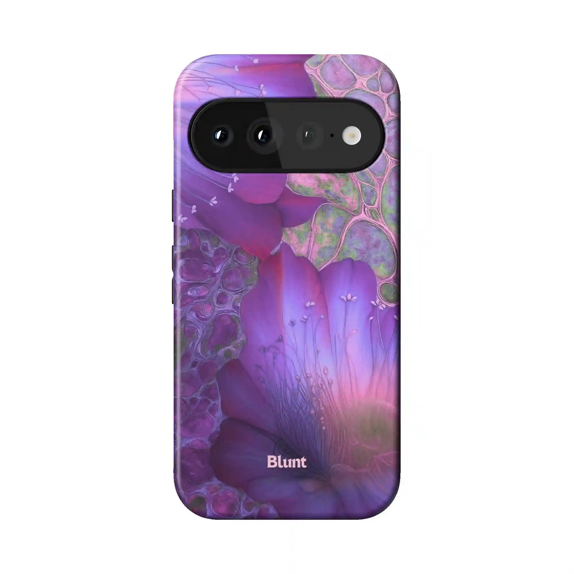 bluntcasesus.it.com