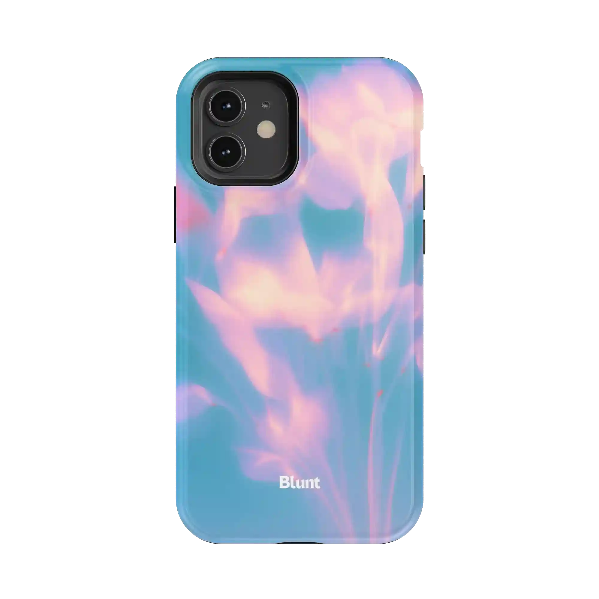 bluntcasesus.it.com