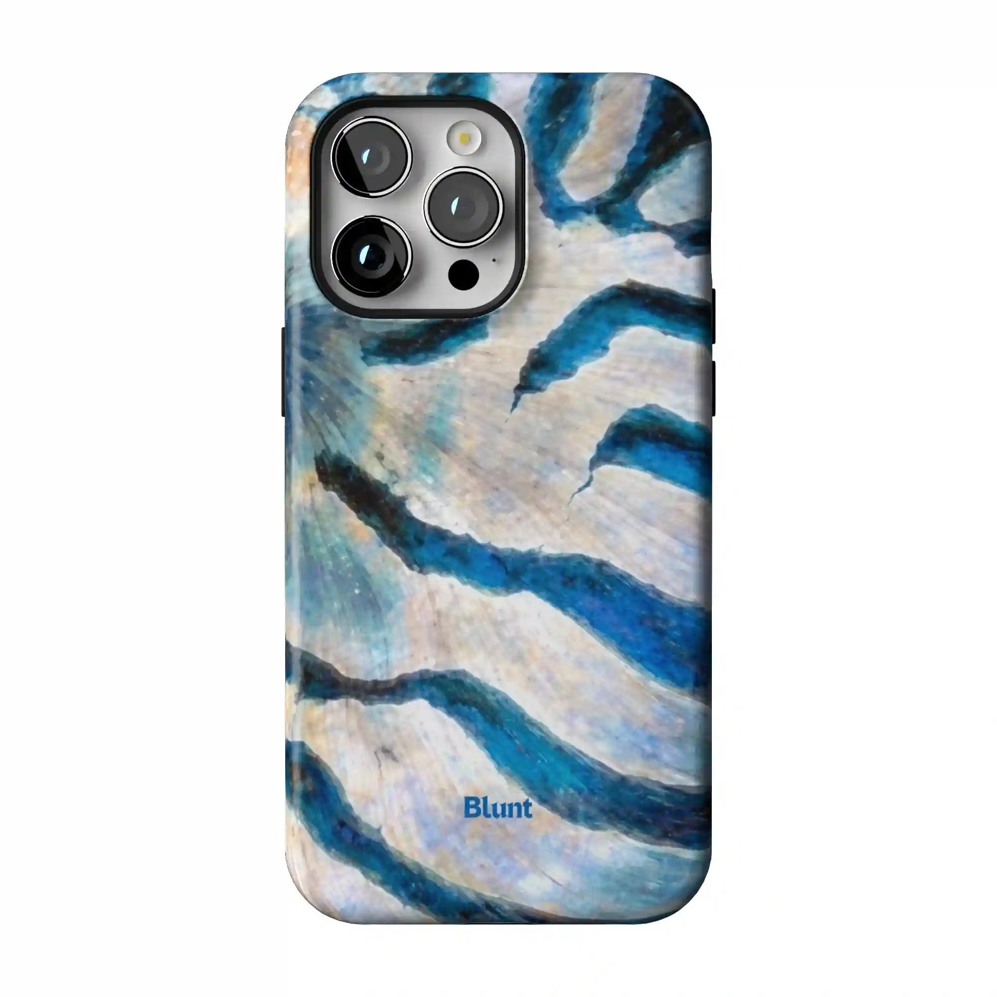 bluntcasesus.it.com