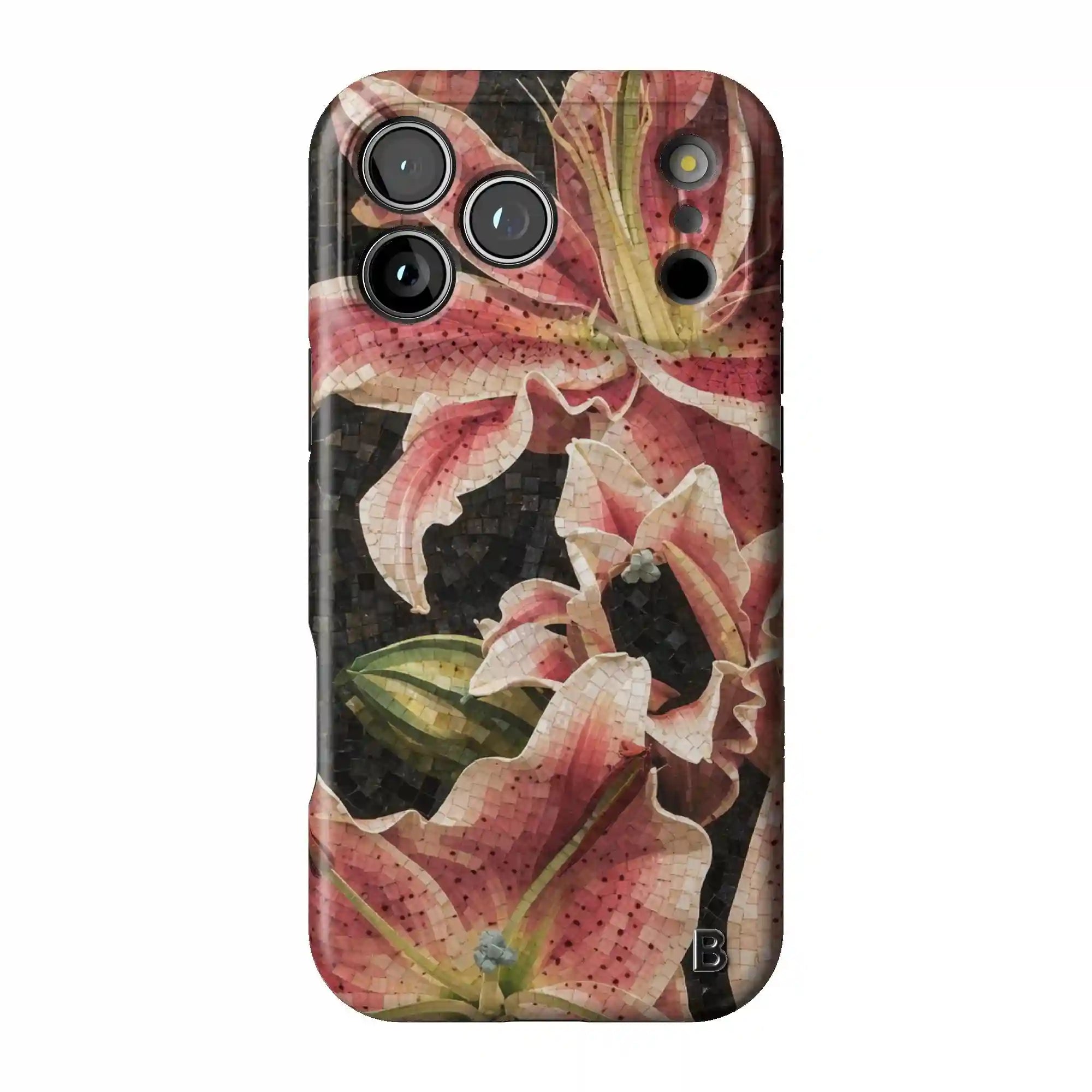 bluntcasesus.it.com