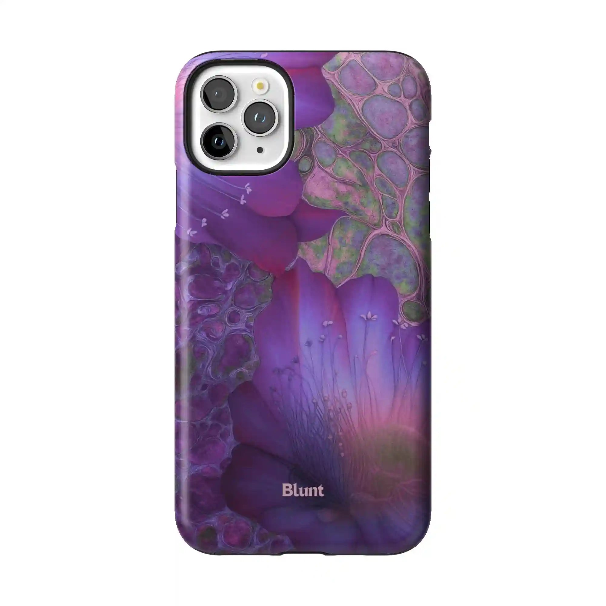 bluntcasesus.it.com