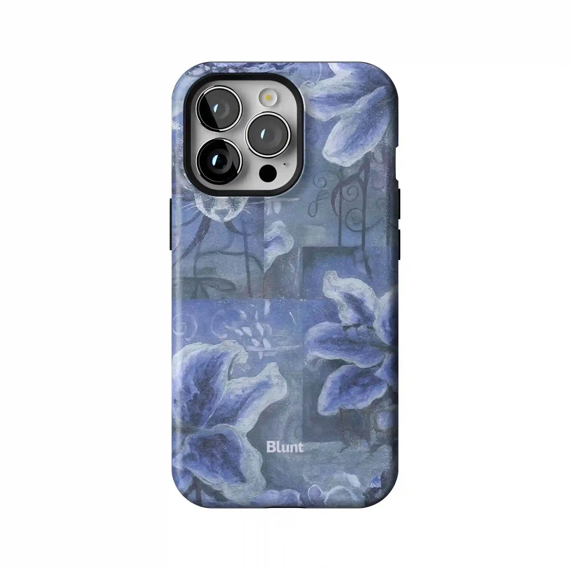 bluntcasesus.it.com