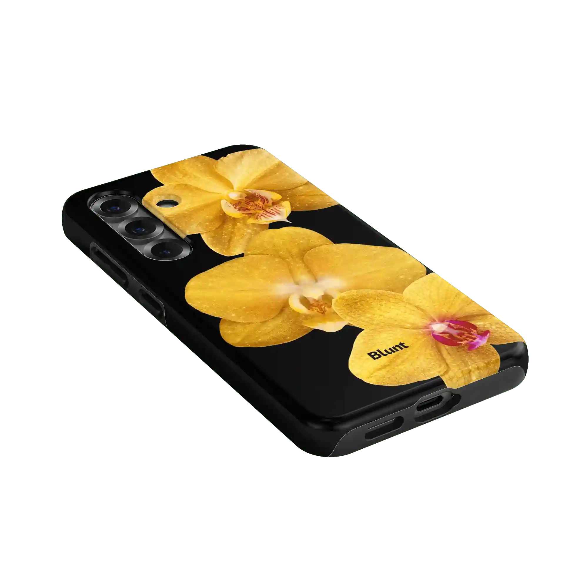bluntcasesus.it.com