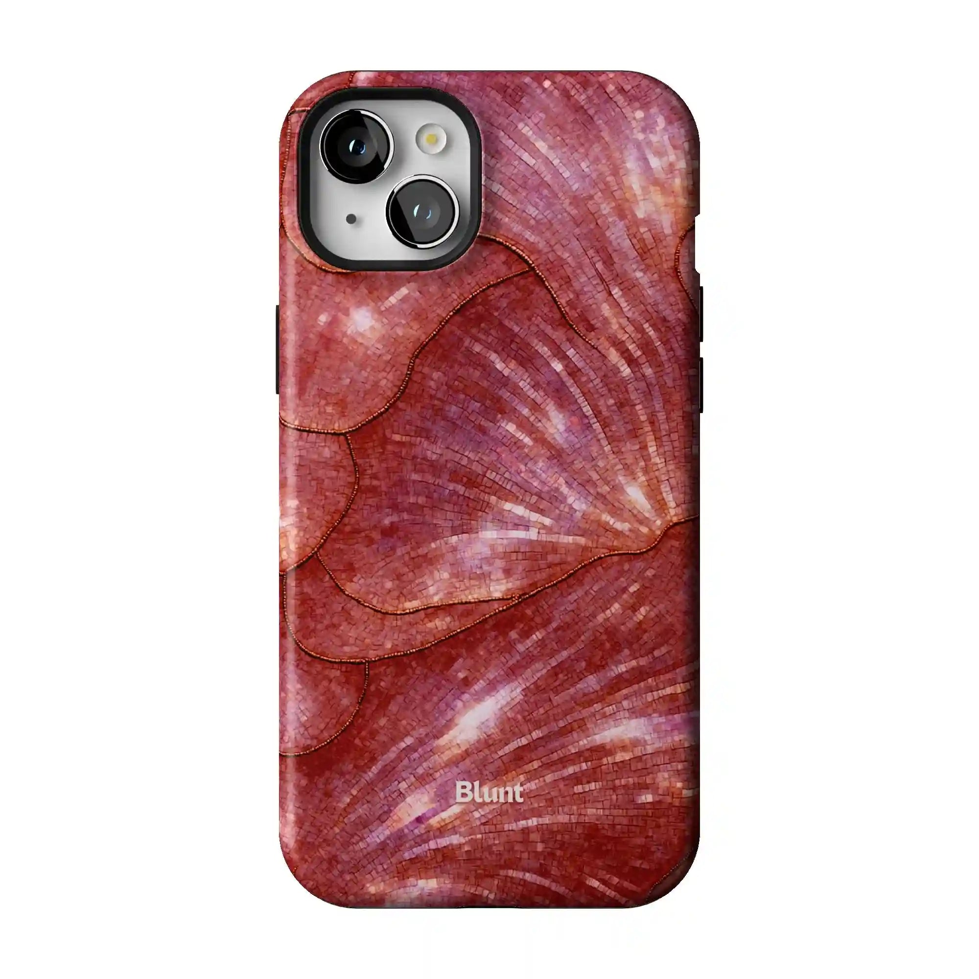 bluntcasesus.it.com