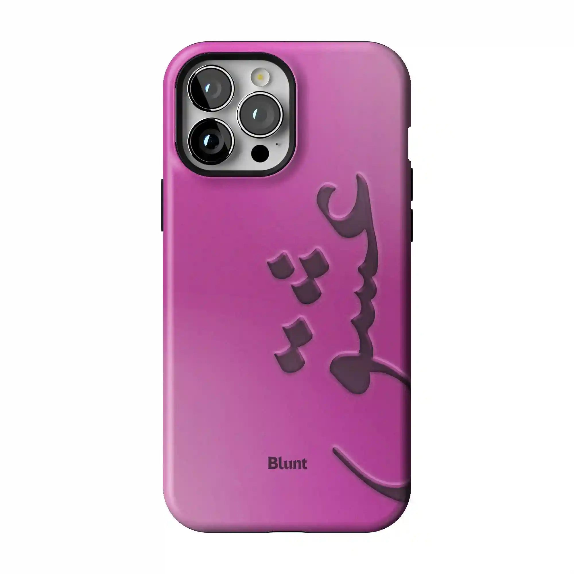 bluntcasesus.it.com