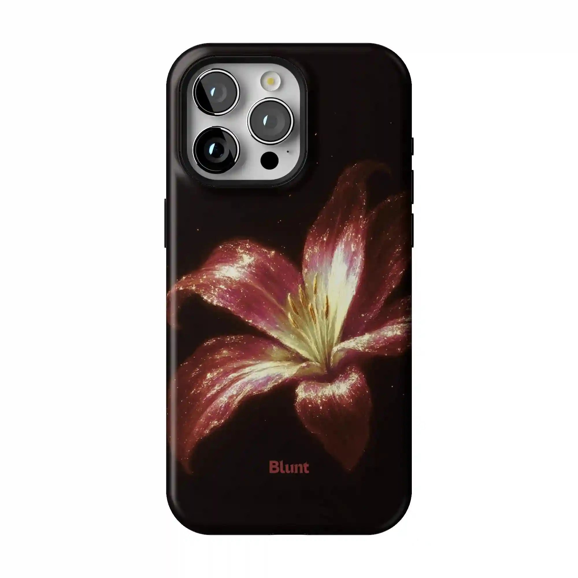 bluntcasesus.it.com