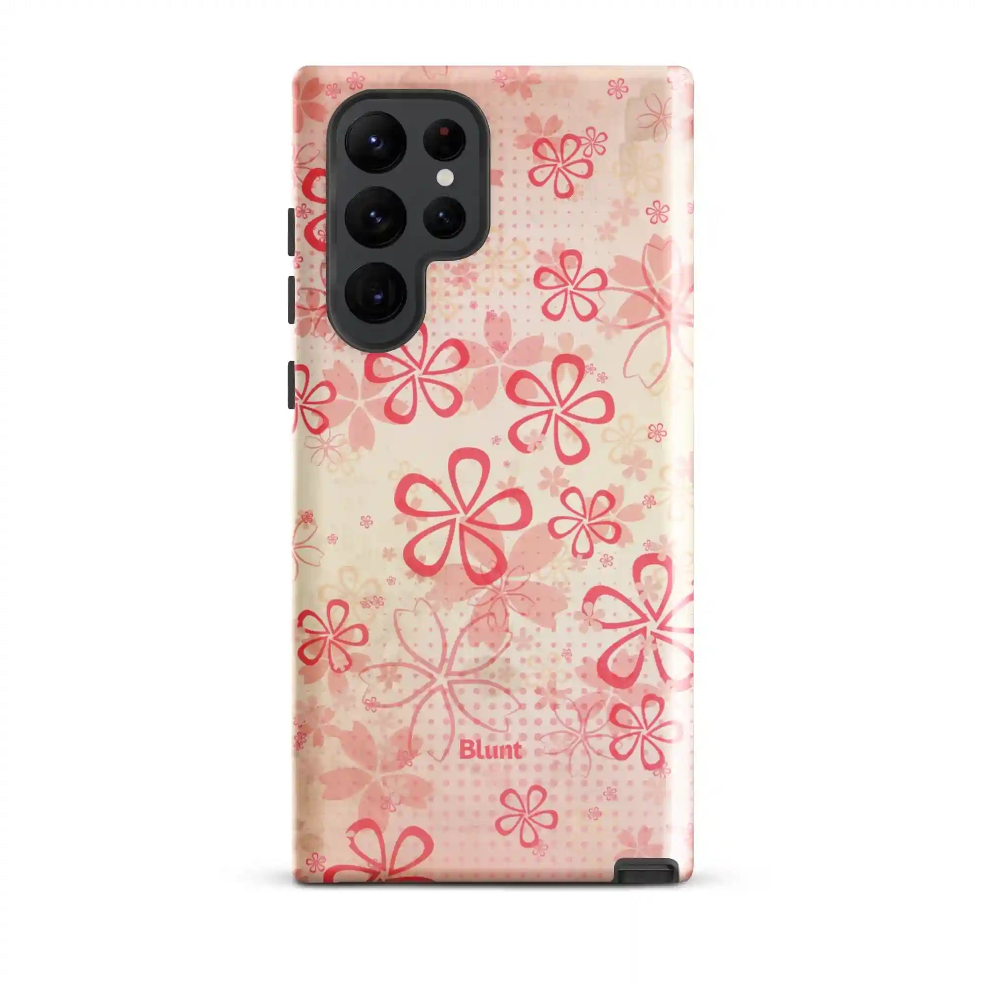 bluntcasesus.it.com