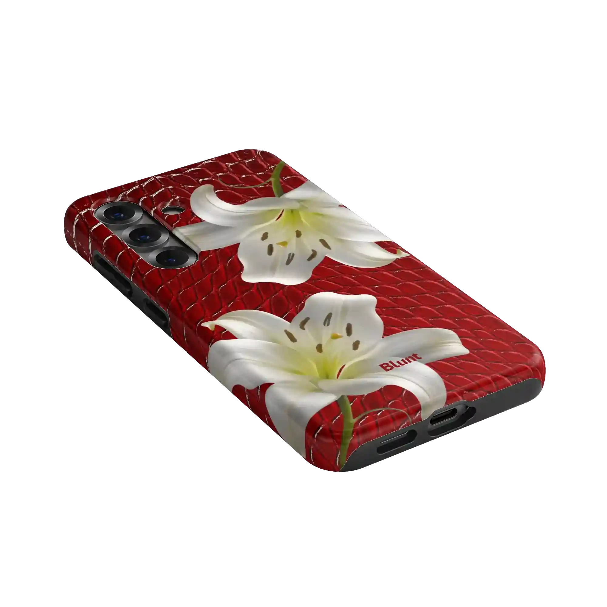bluntcasesus.it.com