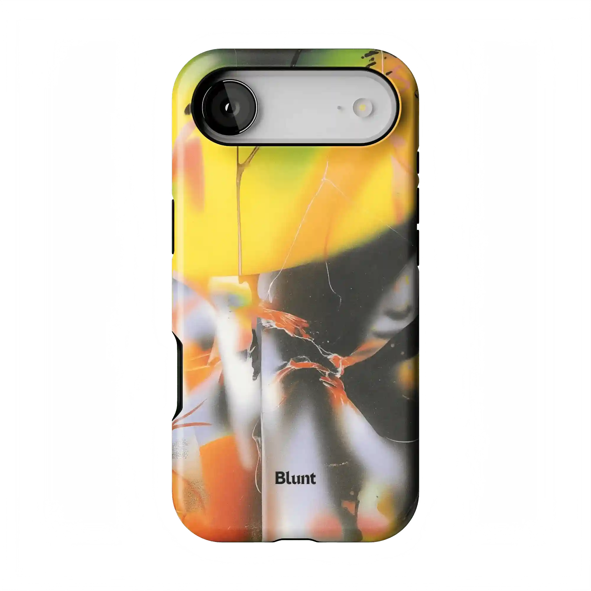 bluntcasesus.it.com