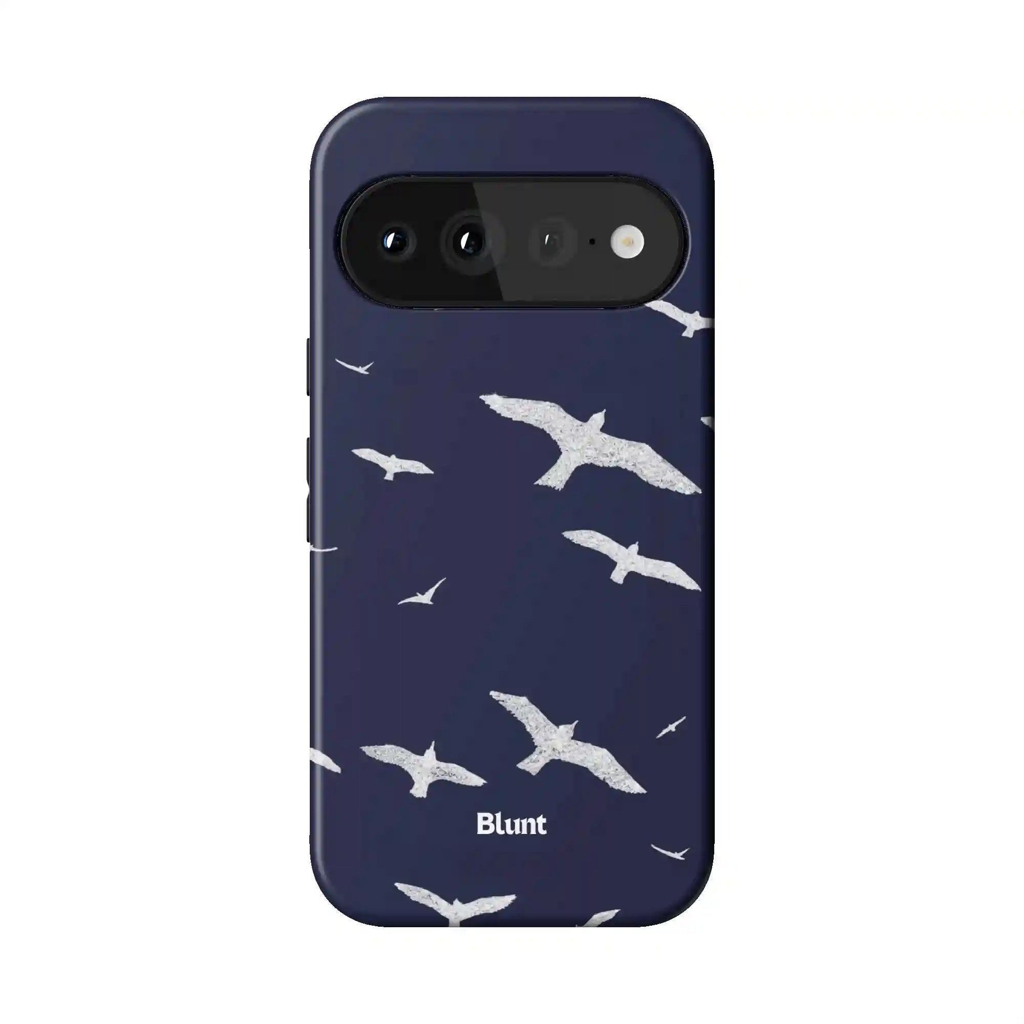 bluntcasesus.it.com
