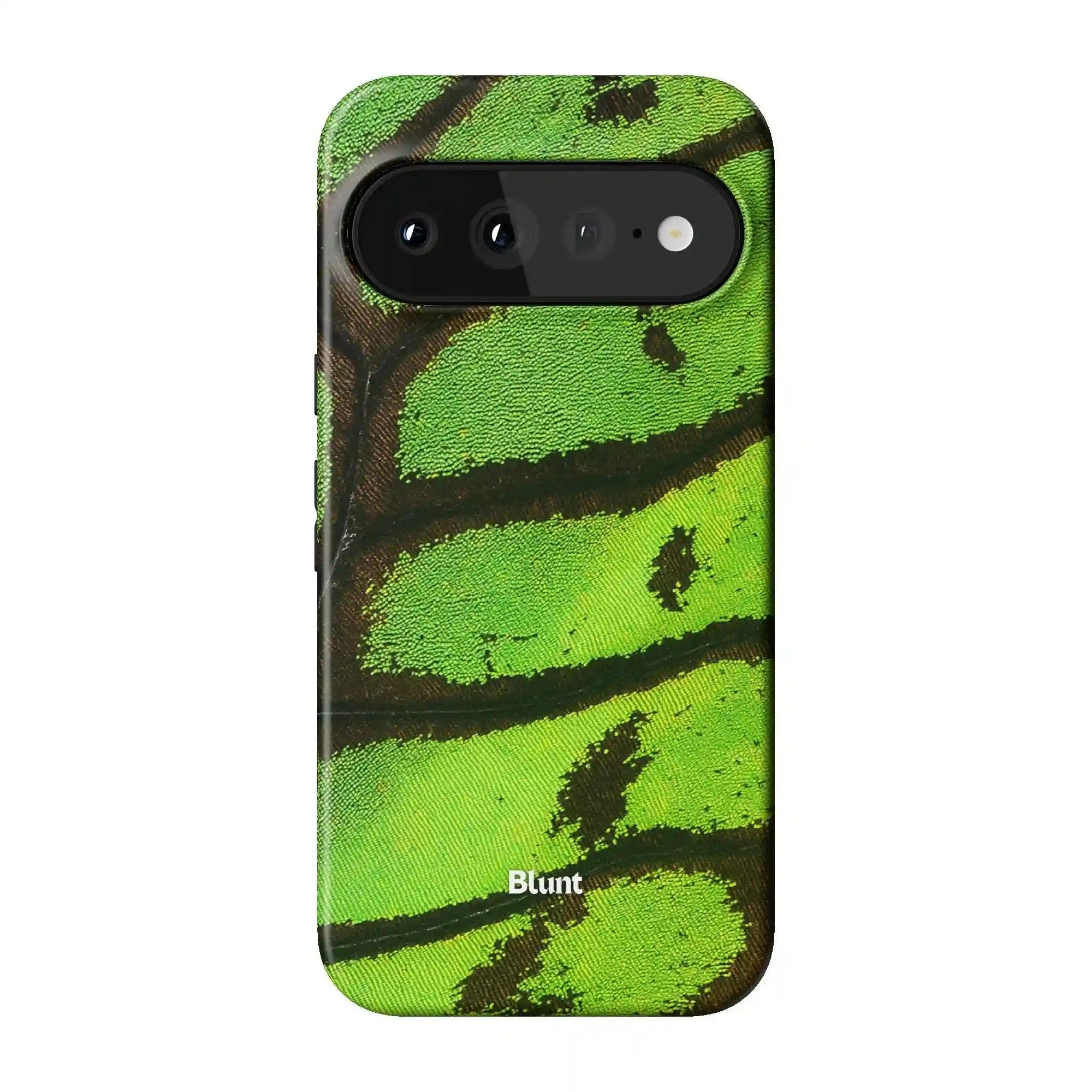 bluntcasesus.it.com