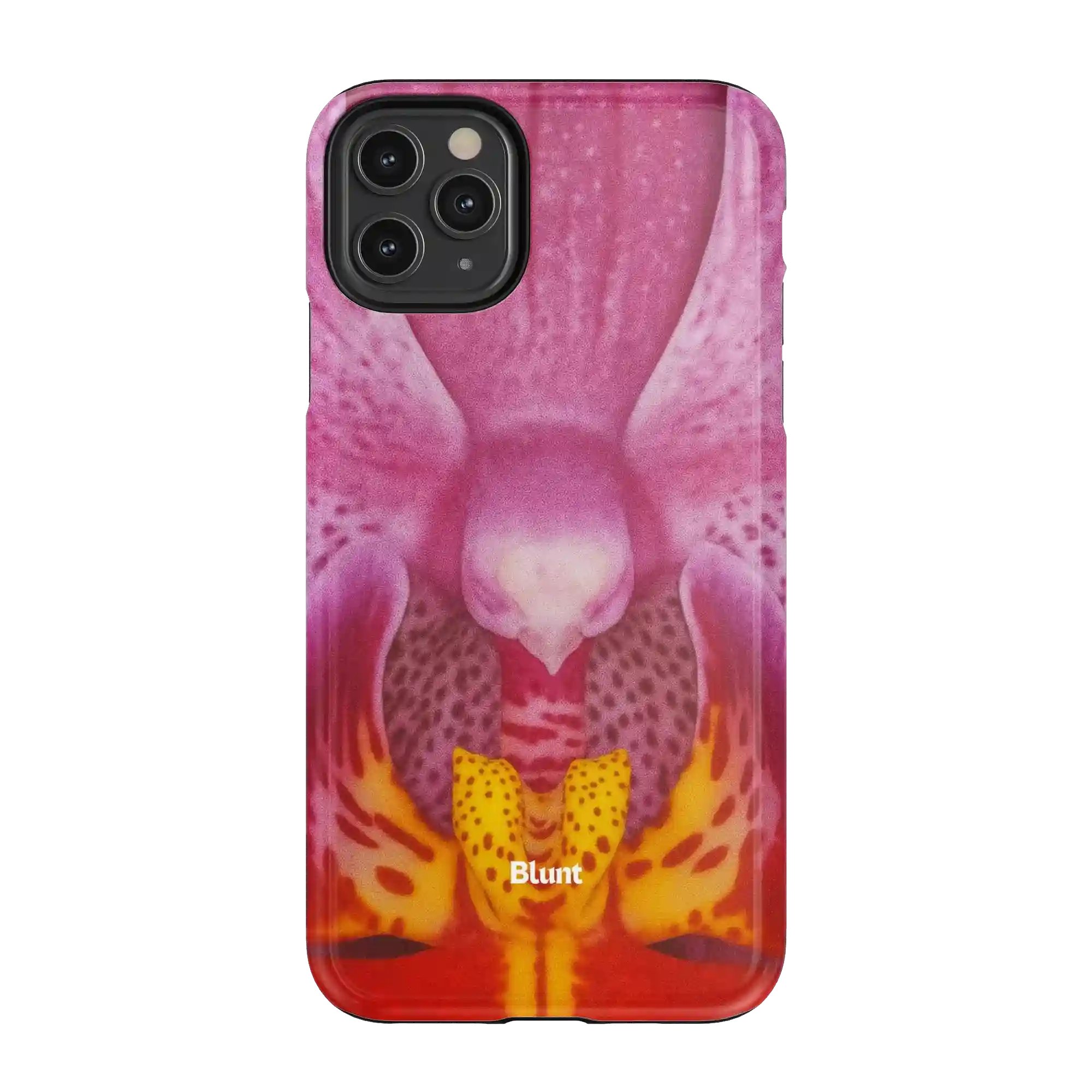 bluntcasesus.it.com