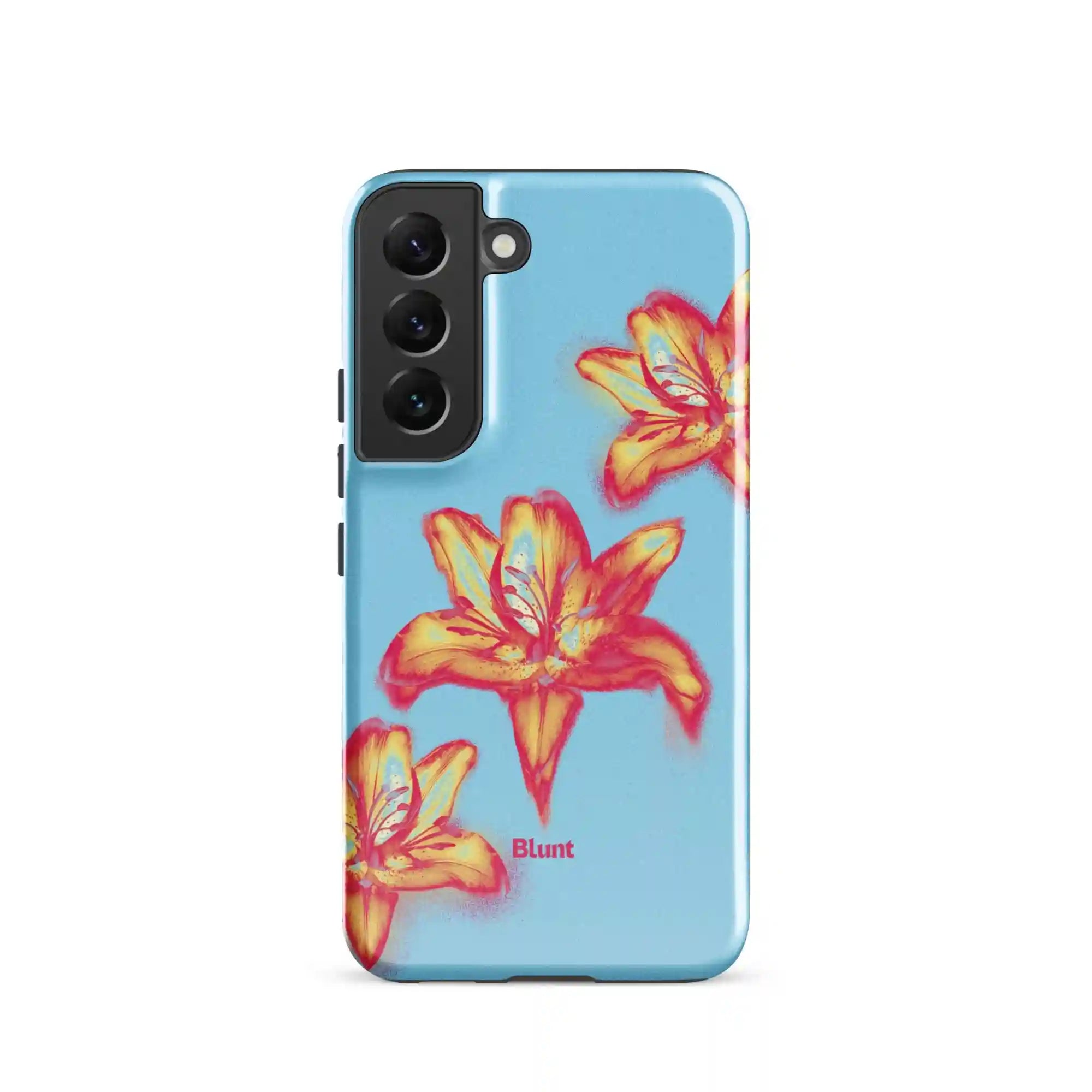 bluntcasesus.it.com