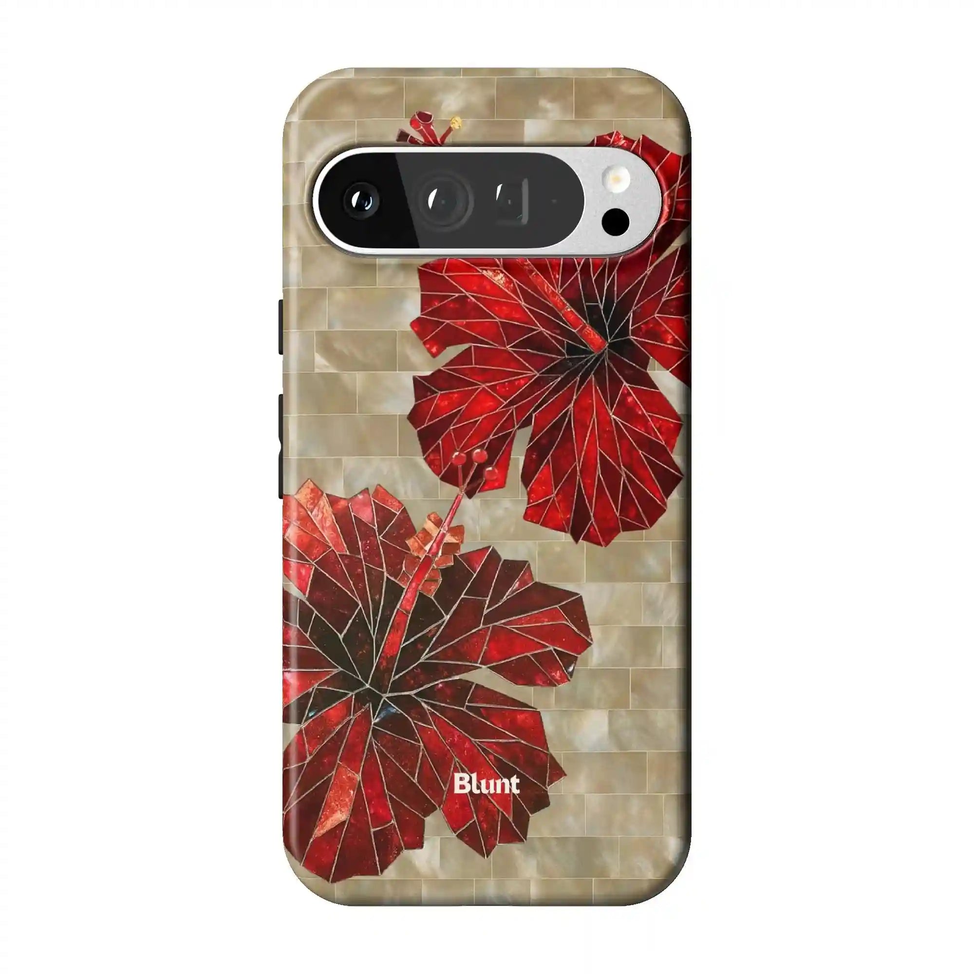 bluntcasesus.it.com