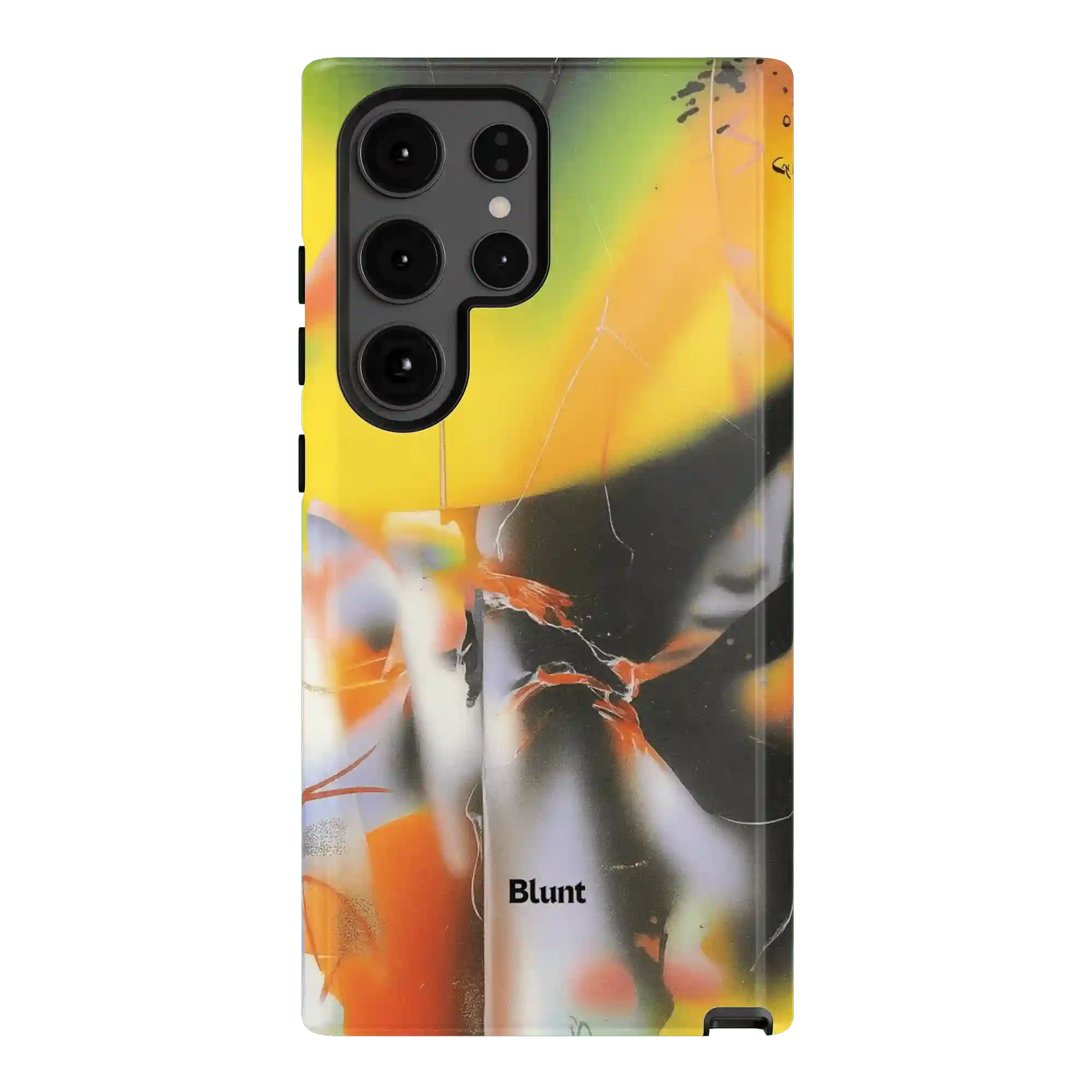 bluntcasesus.it.com