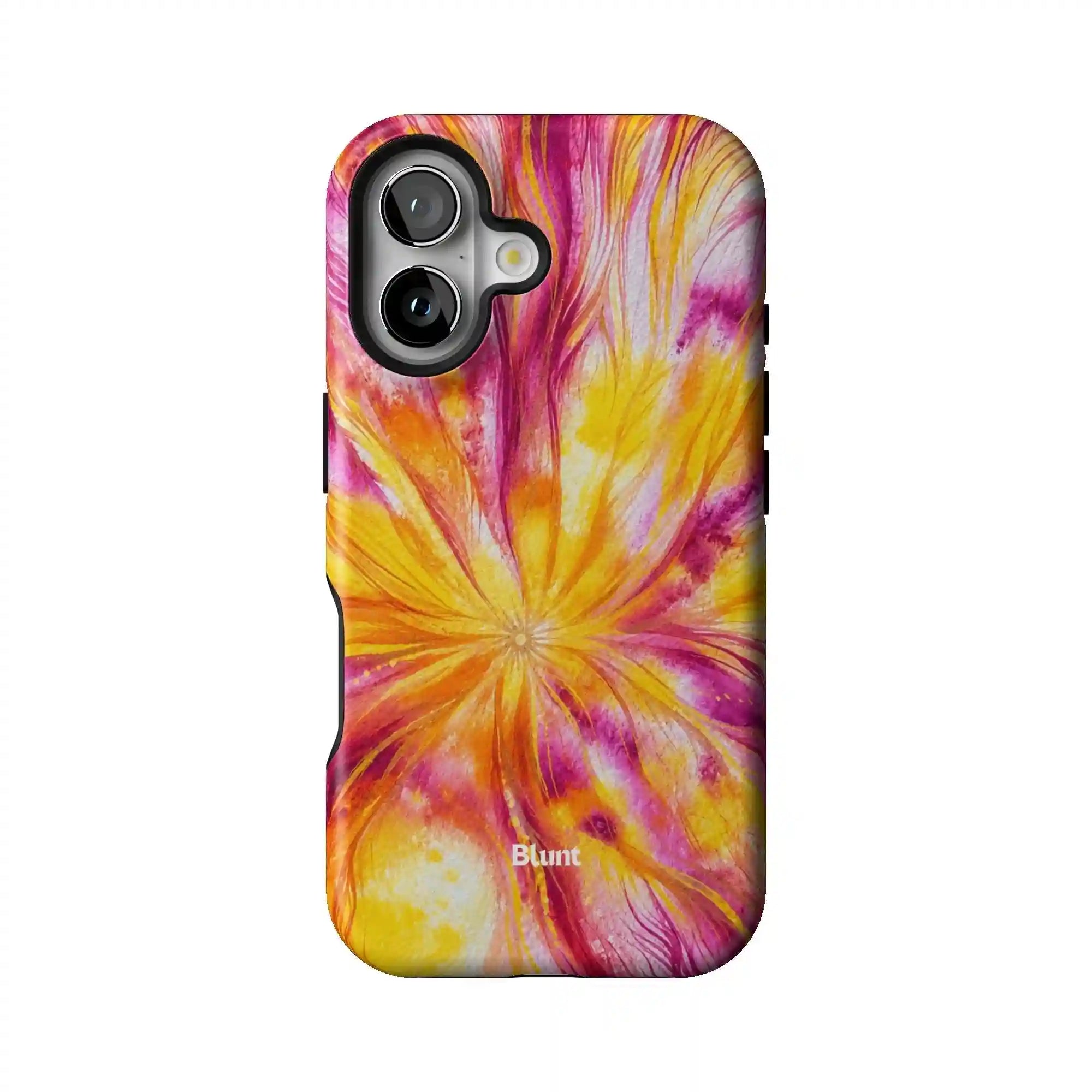 bluntcasesus.it.com