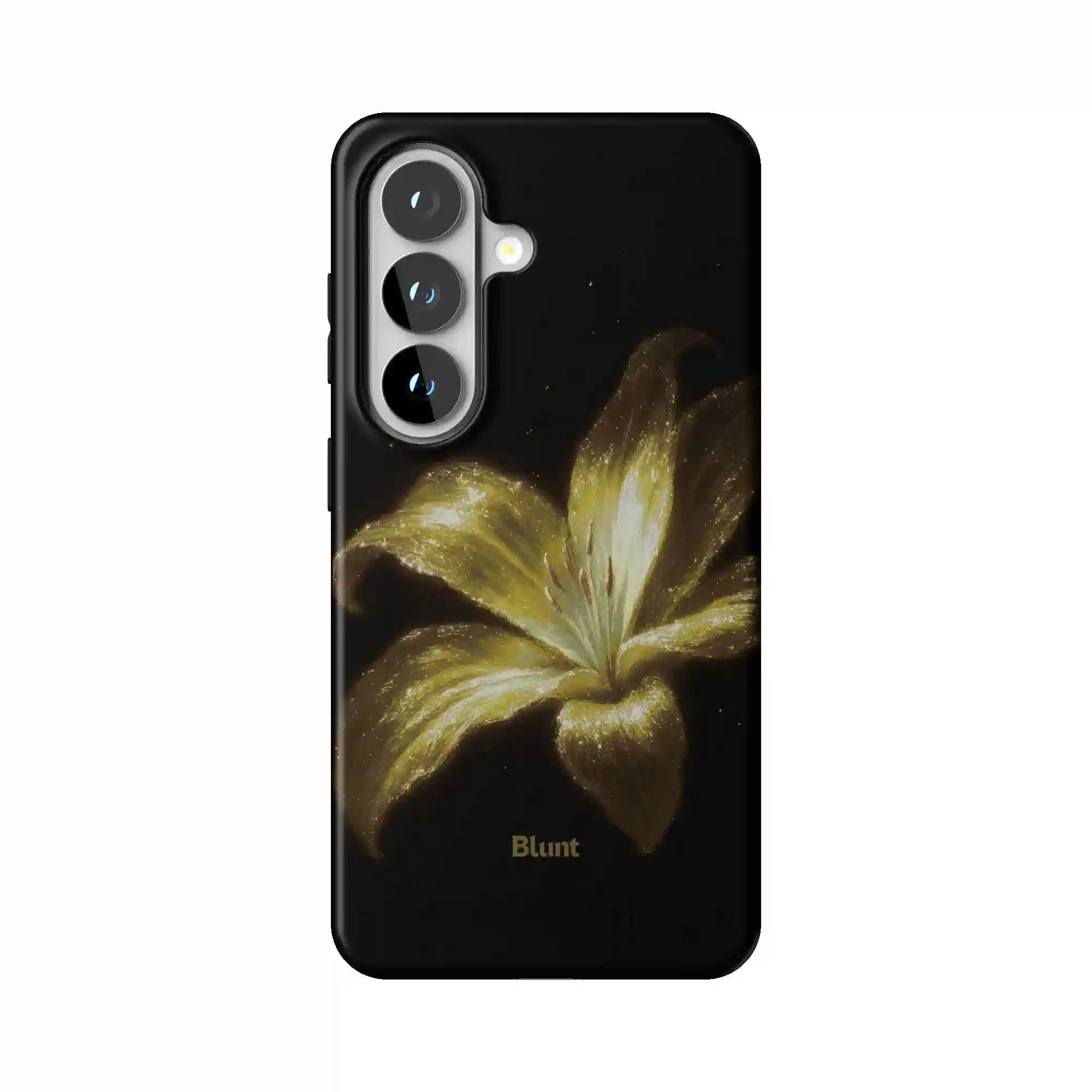 bluntcasesus.it.com