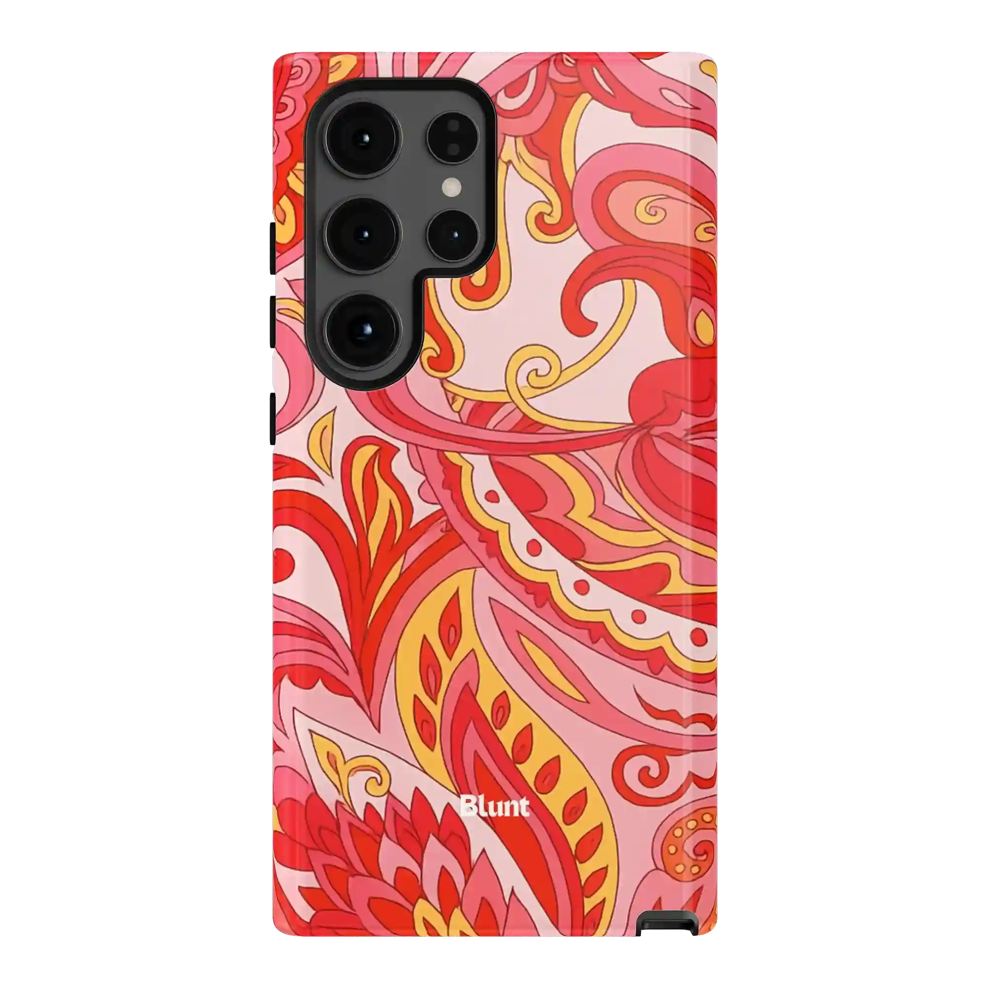 bluntcasesus.it.com