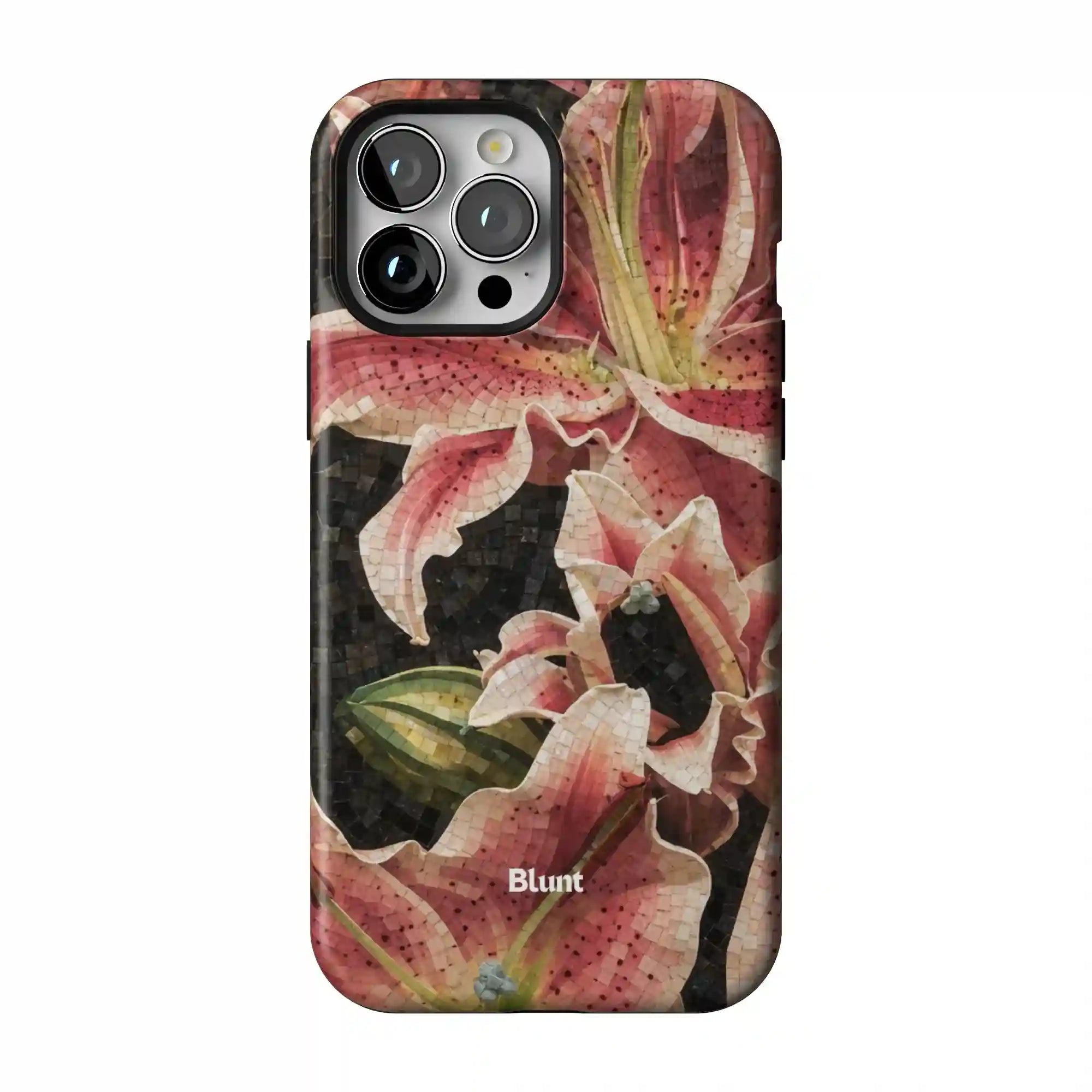 bluntcasesus.it.com