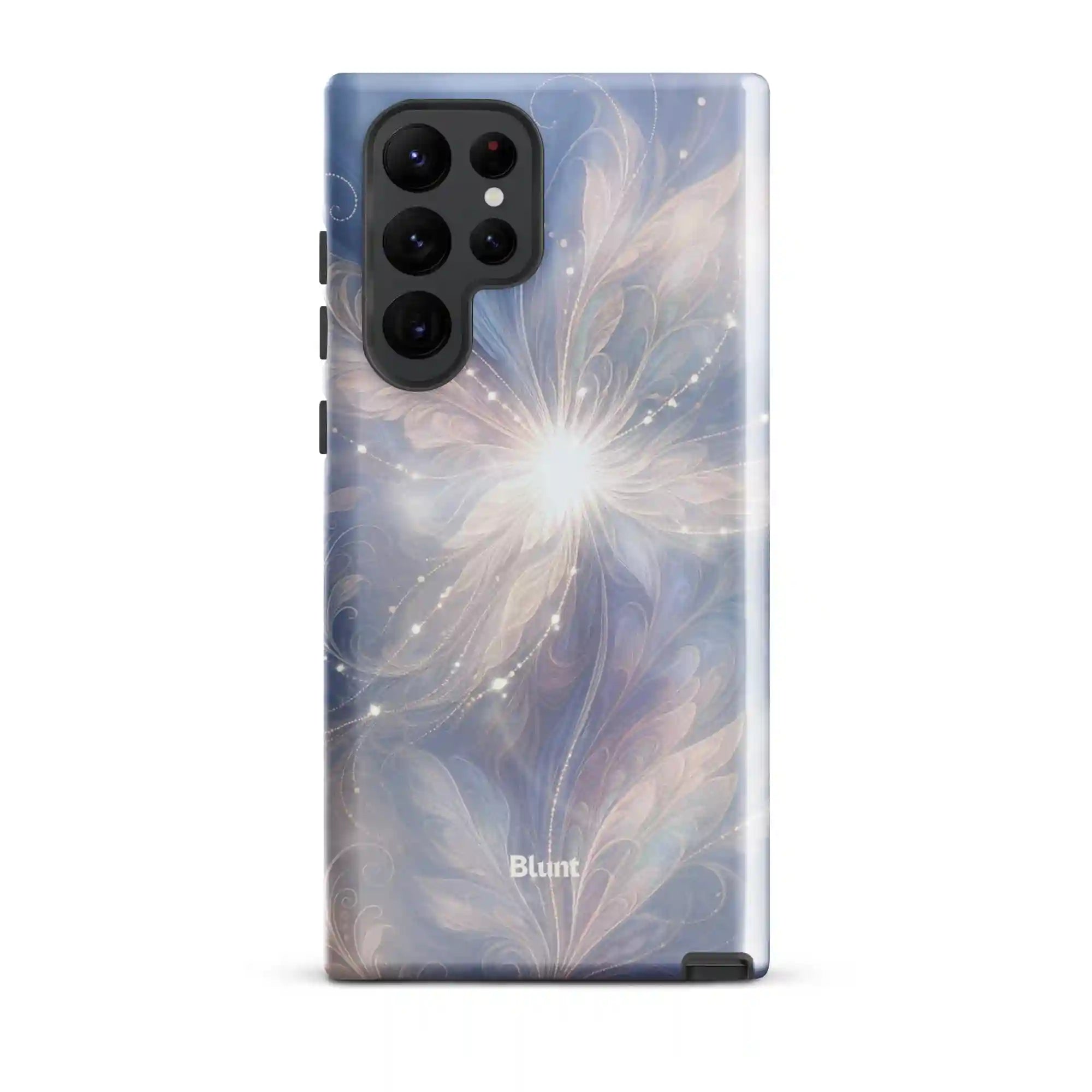 bluntcasesus.it.com