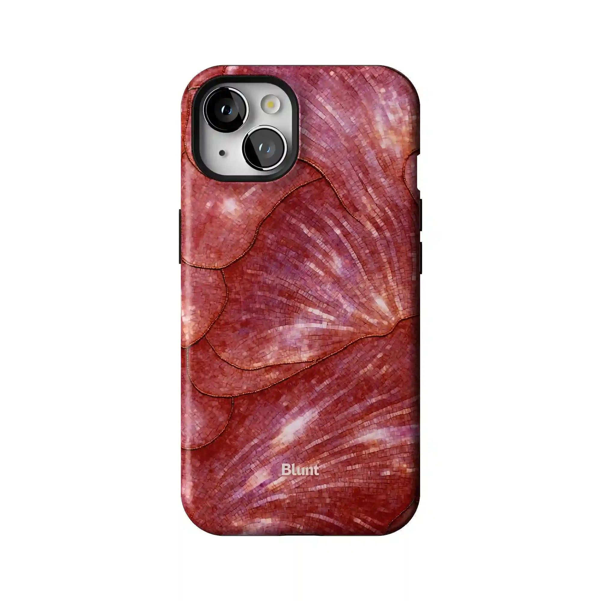 bluntcasesus.it.com