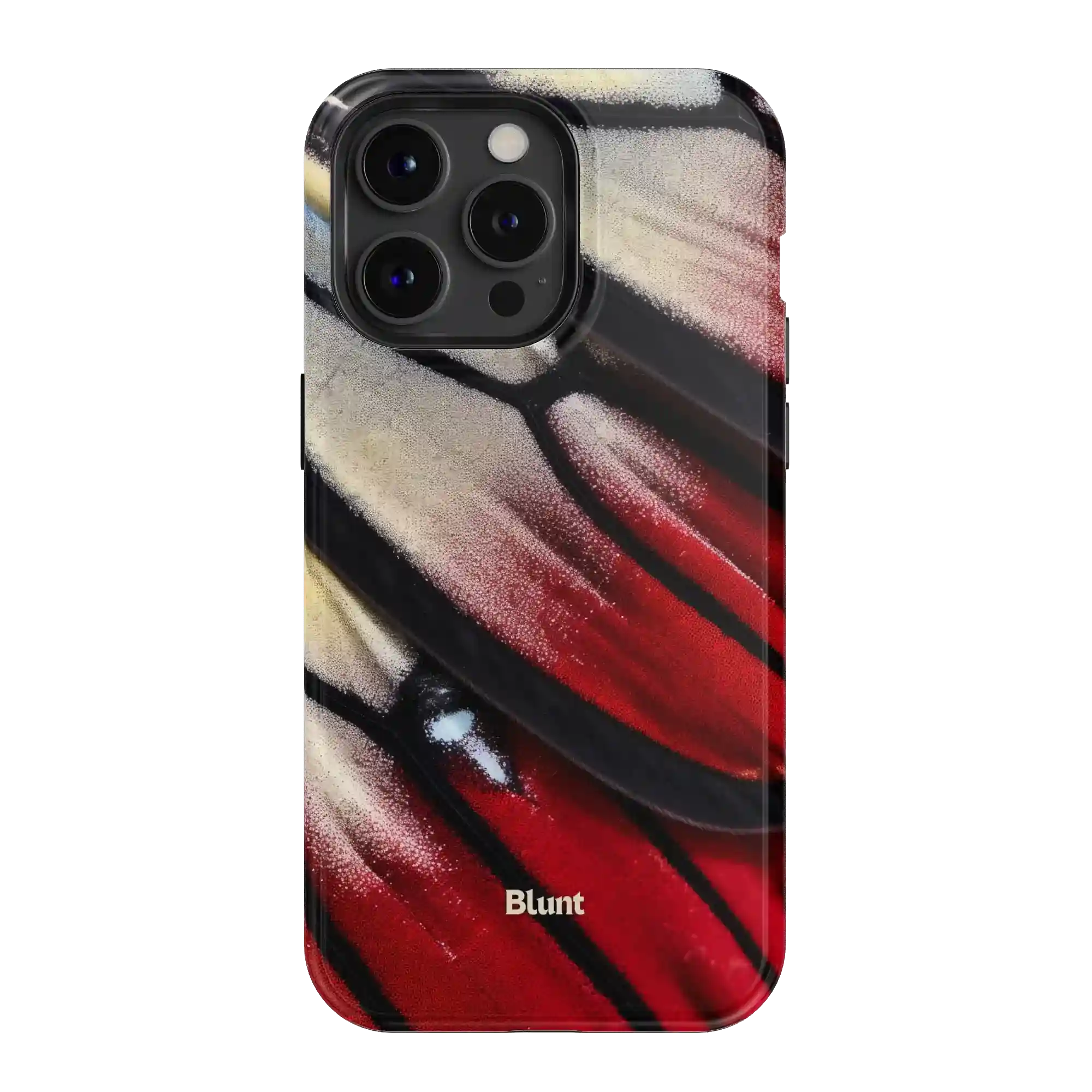 bluntcasesus.it.com