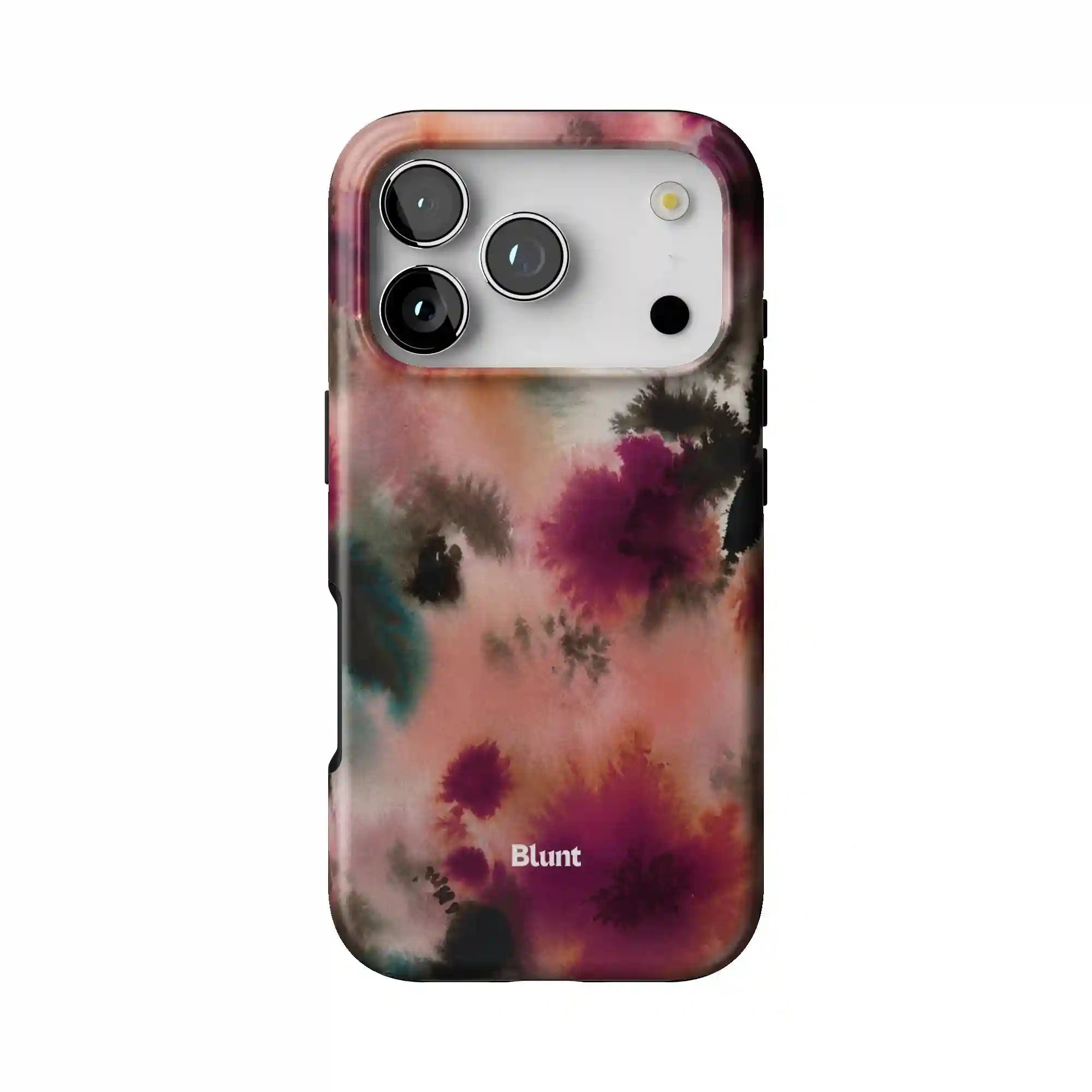 bluntcasesus.it.com