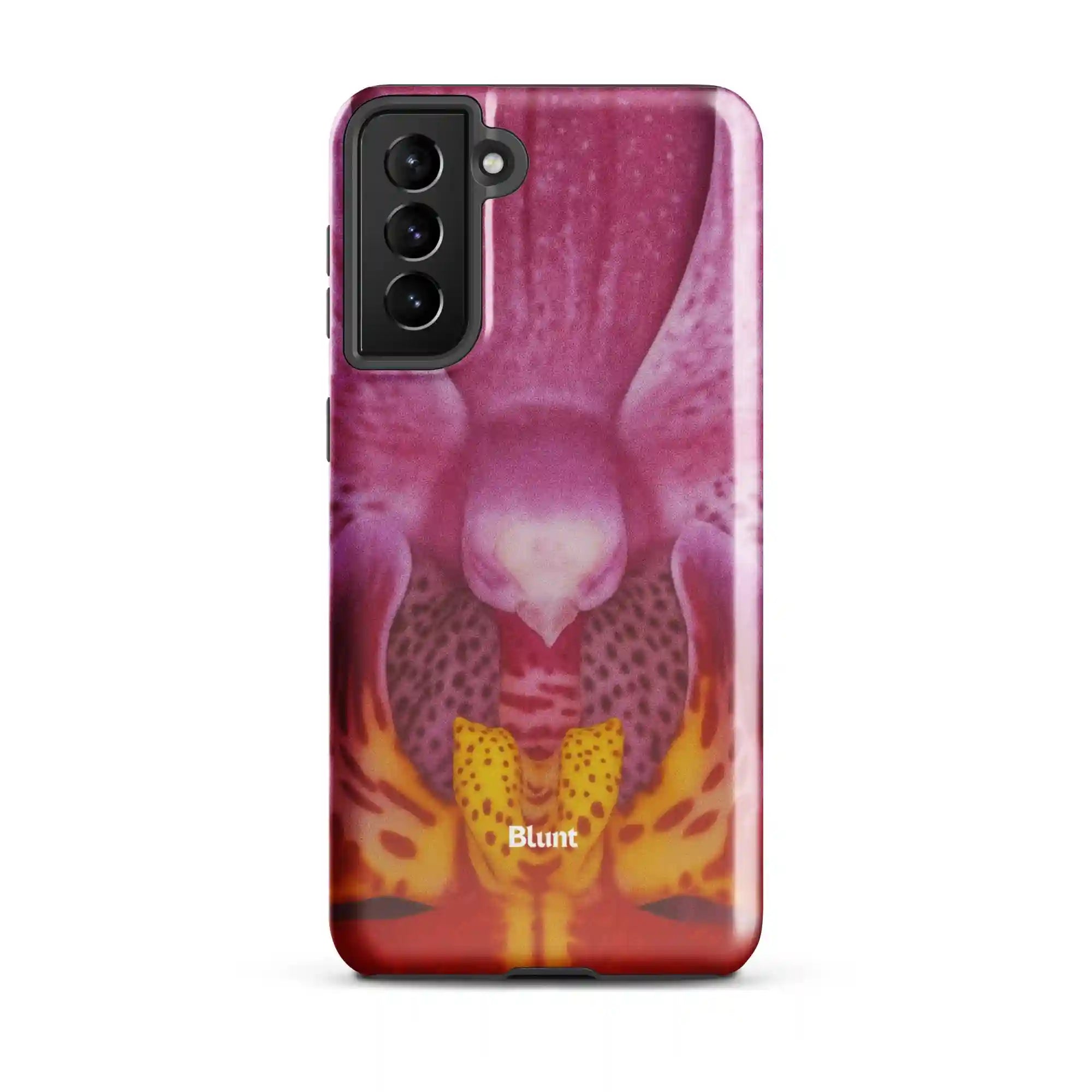 bluntcasesus.it.com