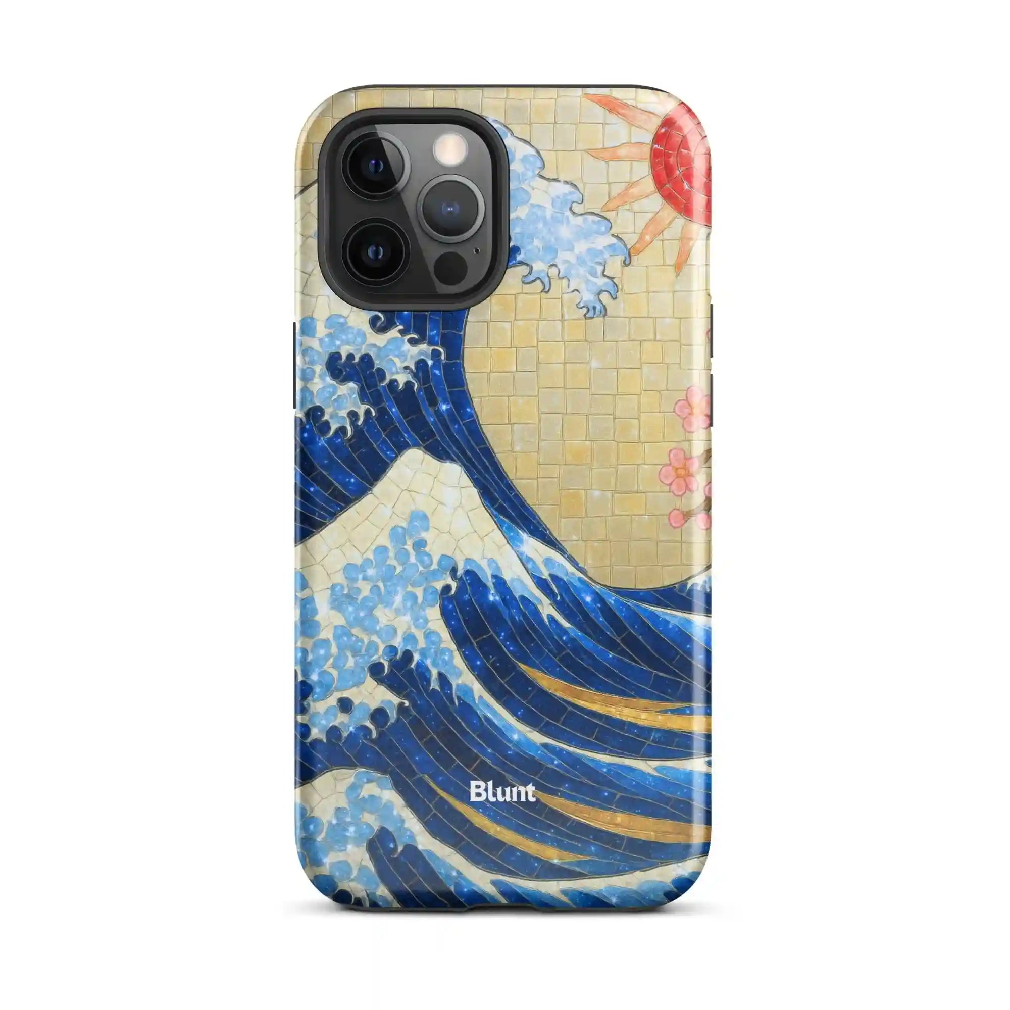 bluntcasesus.it.com
